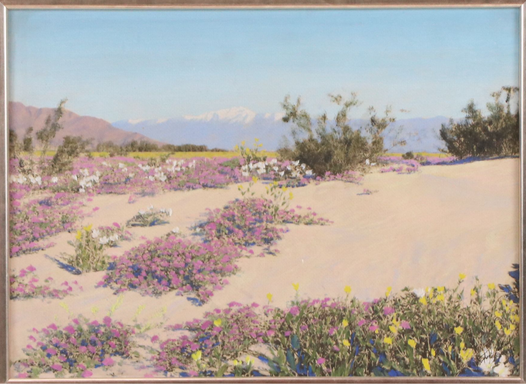 Stephen H. Willard Desert Landscape Hand-Painted Platinum Prints, 20th Century