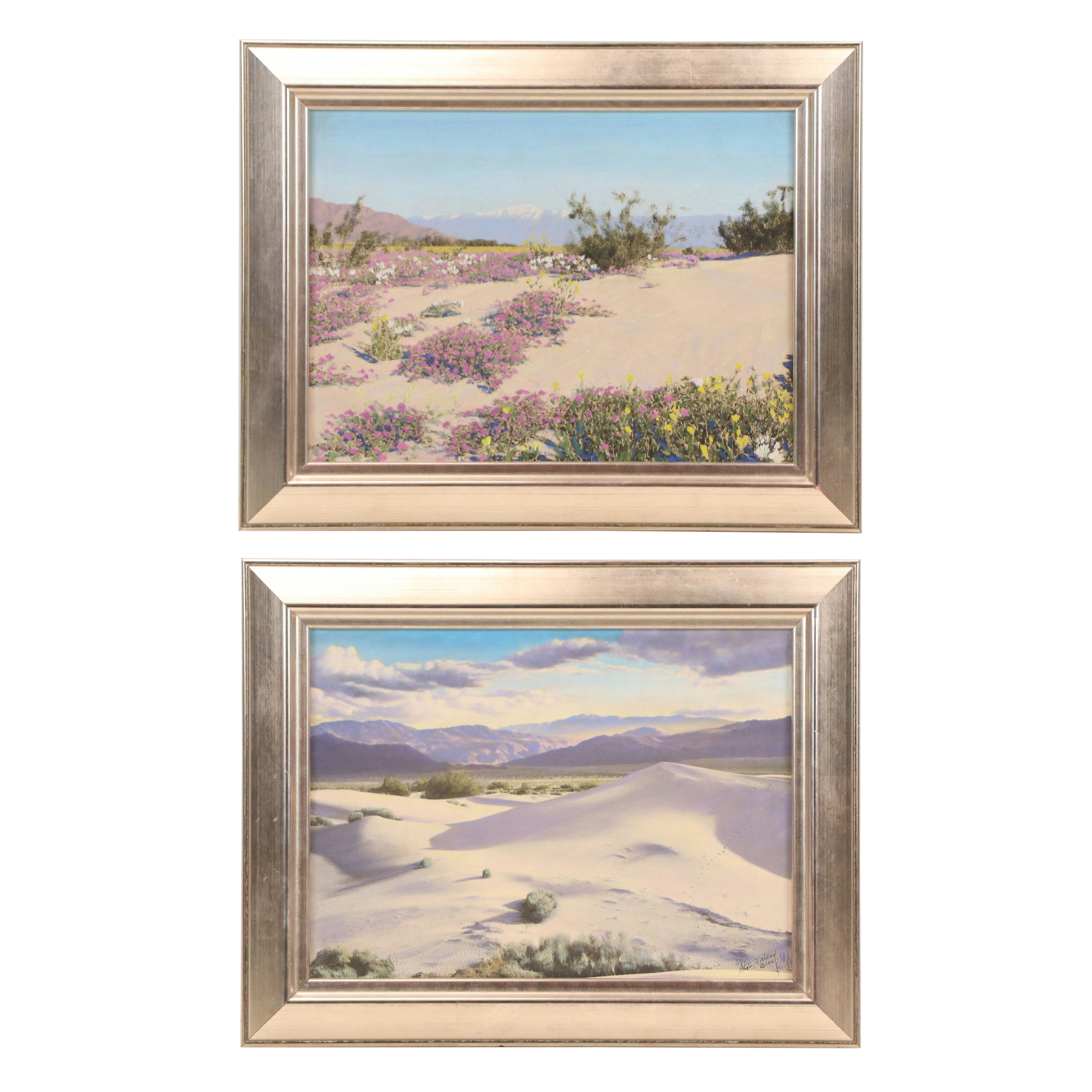 Stephen H. Willard Desert Landscape Hand-Painted Platinum Prints, 20th Century