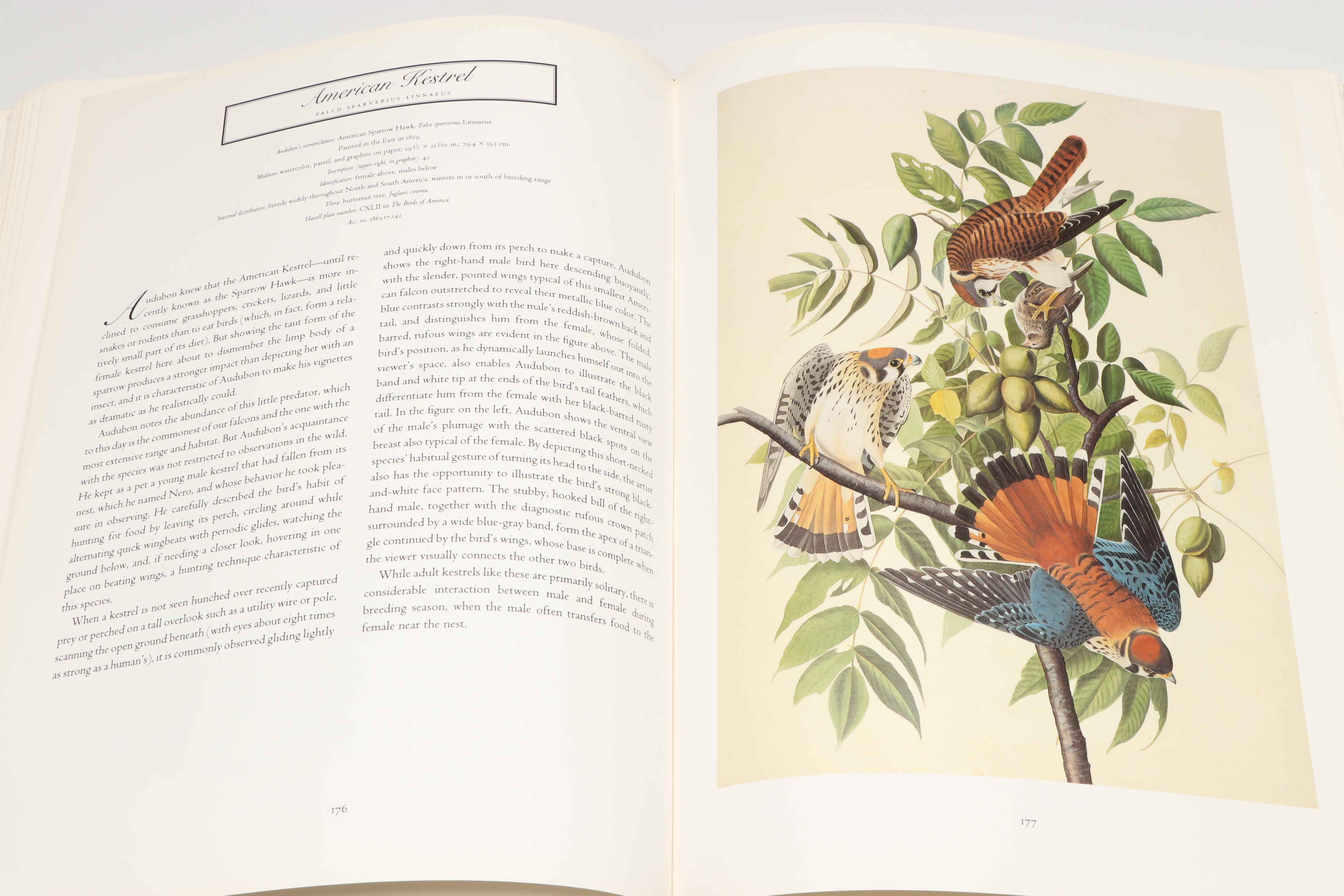 First Edition "John James Audubon: Watercolors for The Birds of America," 1993
