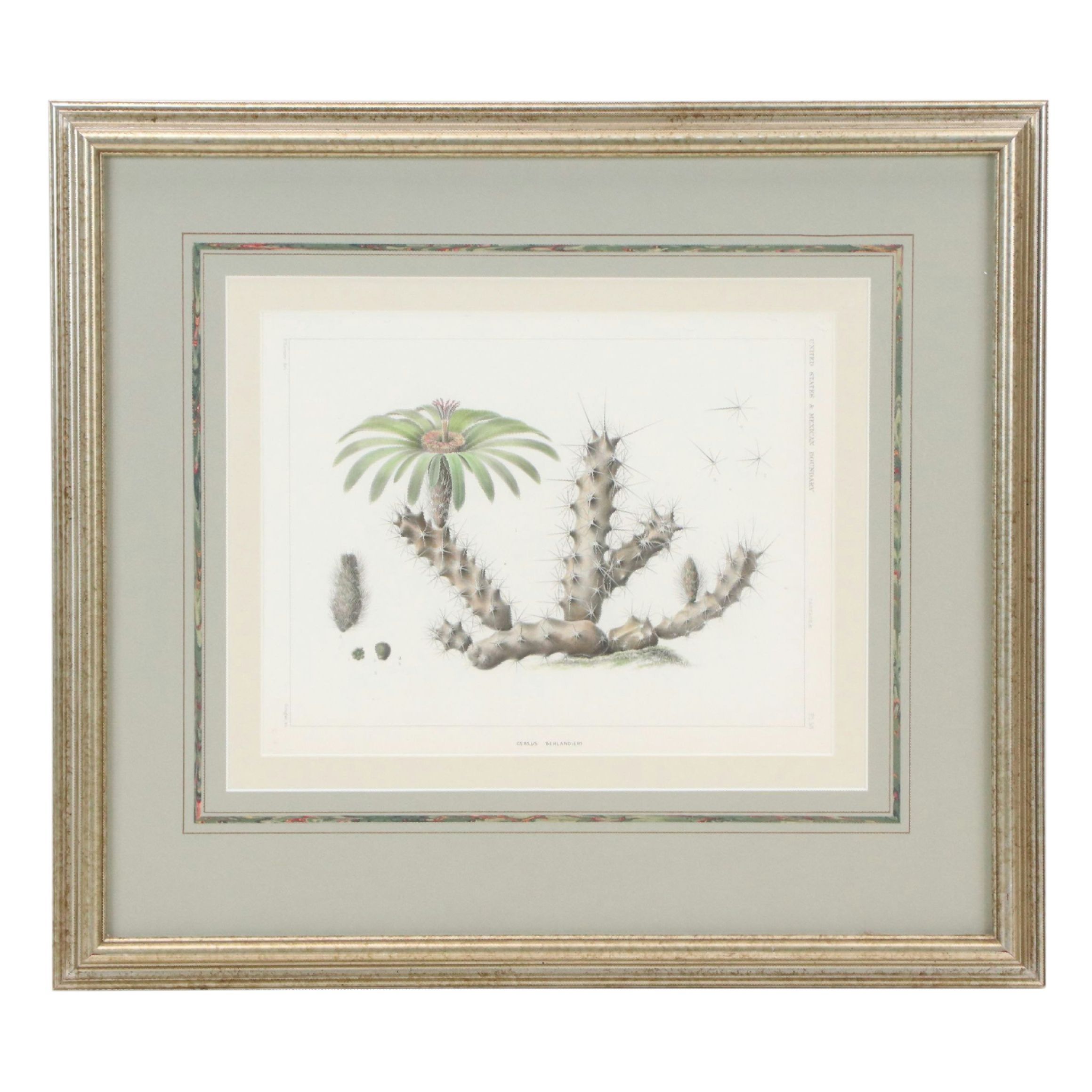 Botanical Stipple Engravings of Cacti After Paulus Roetter, Circa 1880s