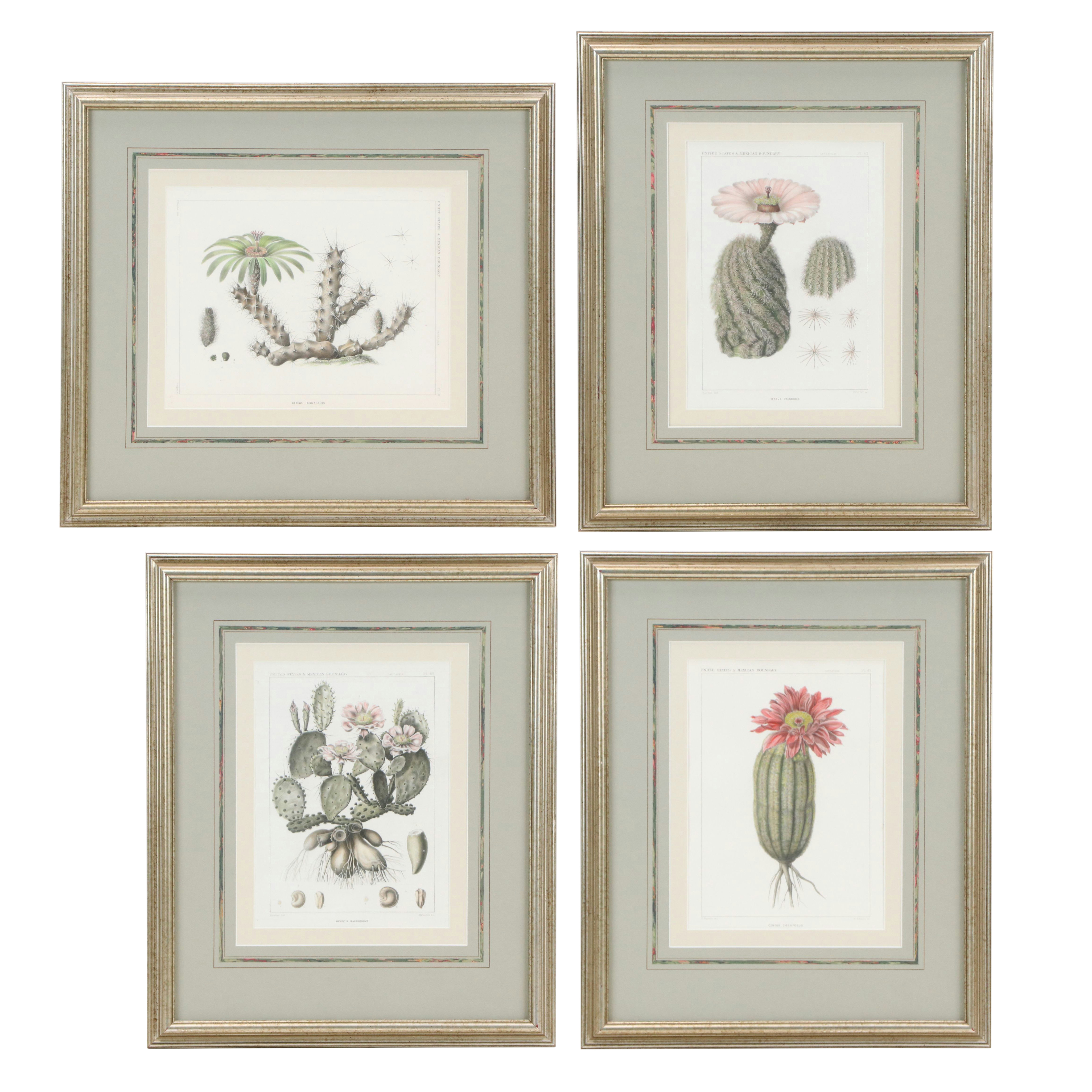 Botanical Stipple Engravings of Cacti After Paulus Roetter, Circa 1880s