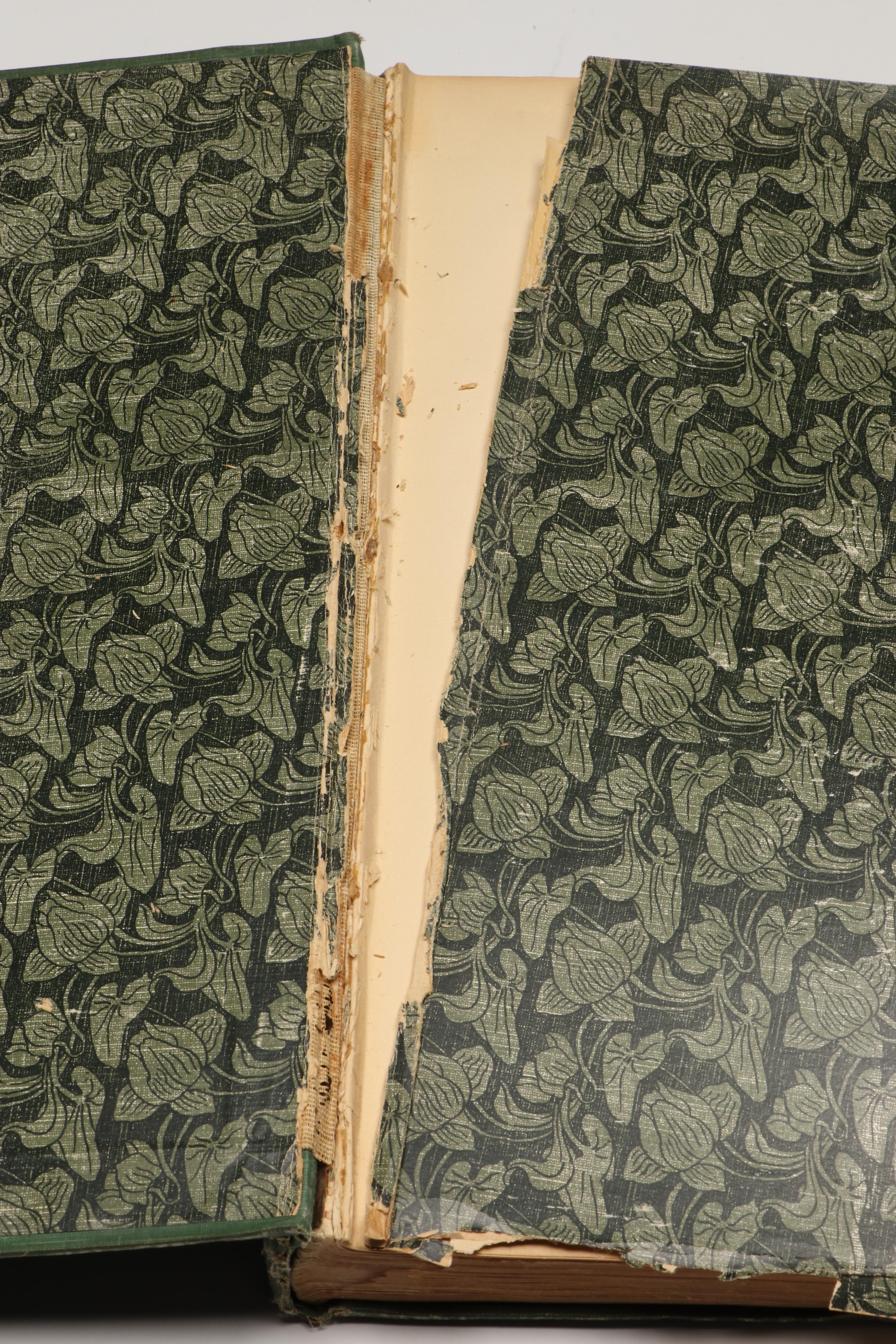 "Phobia" and "The Hundred Best Pictures" Nonfiction Books