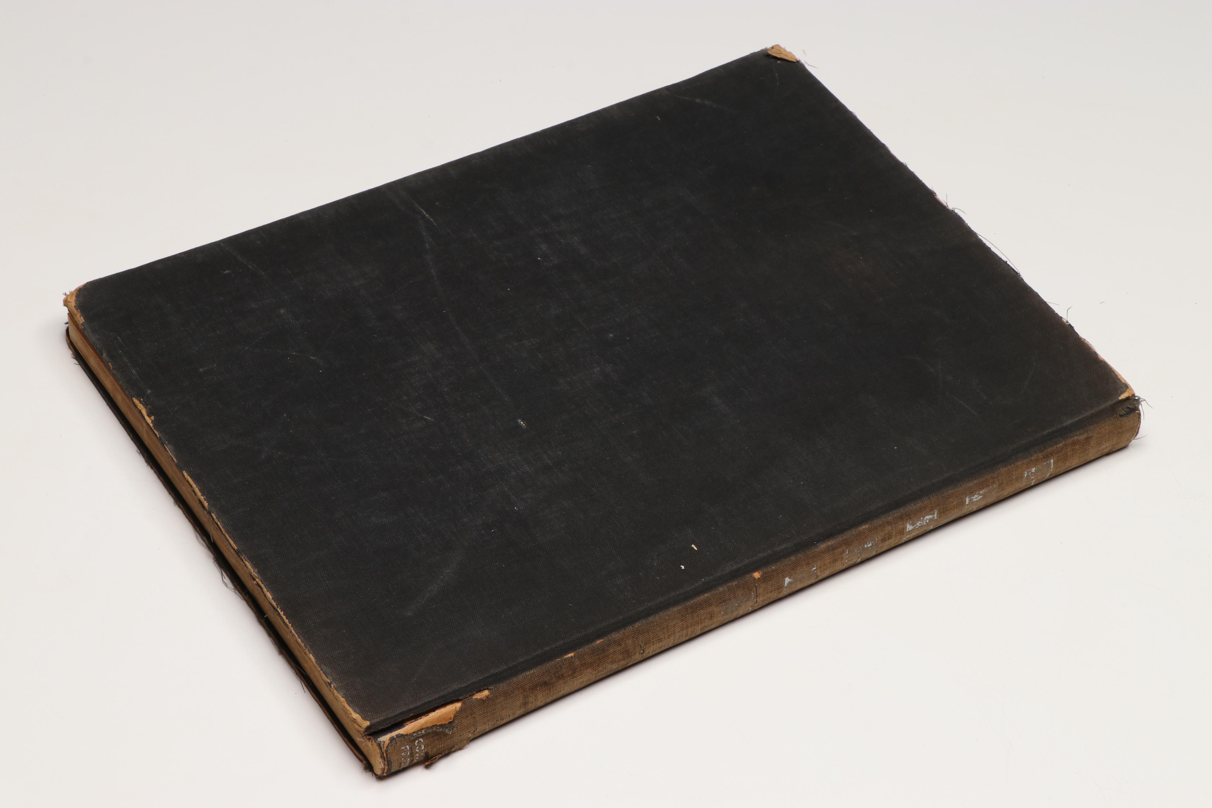 "Phobia" and "The Hundred Best Pictures" Nonfiction Books