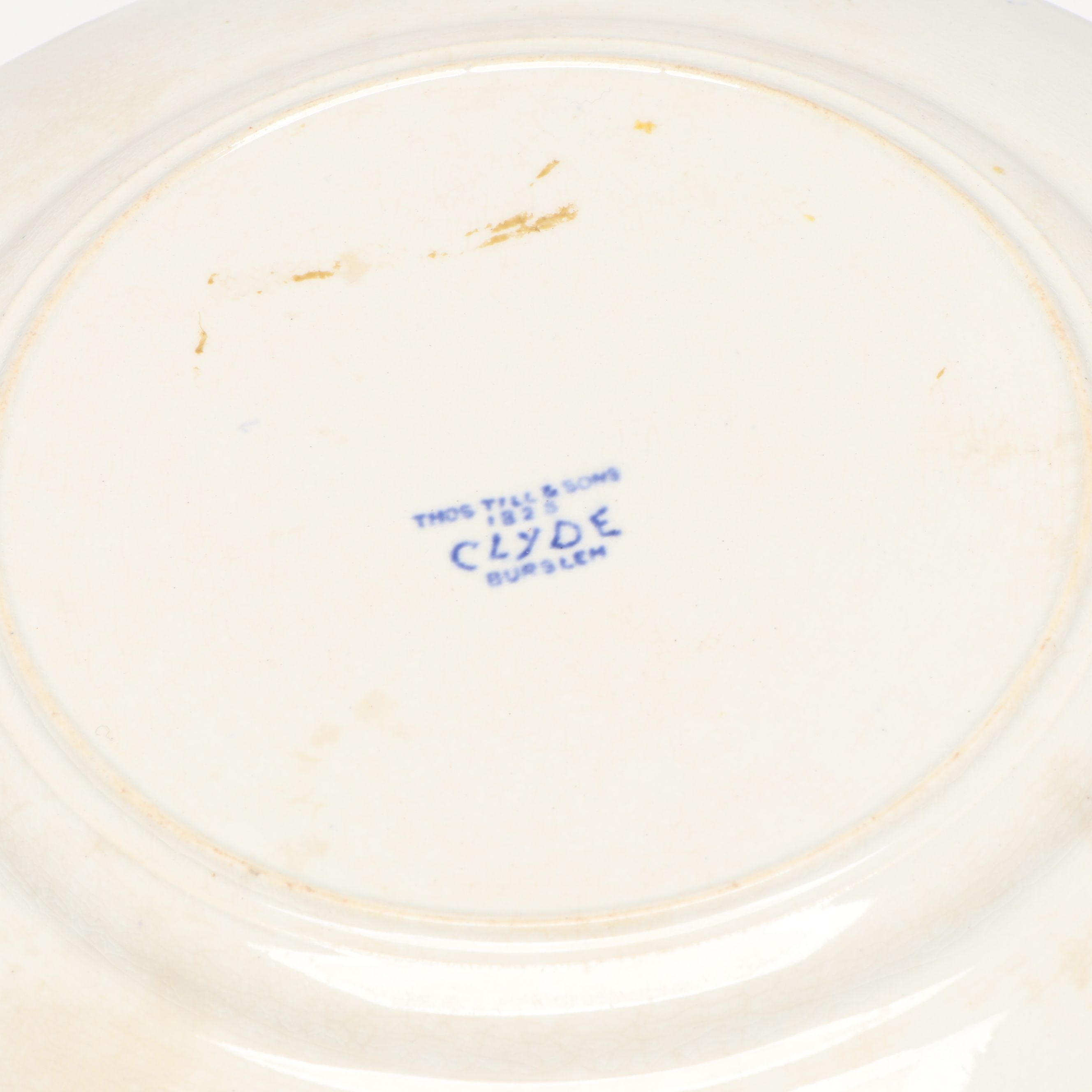 Thomas Till & Sons "Clyde" Plate with Other Blue and White Ceramic Décor