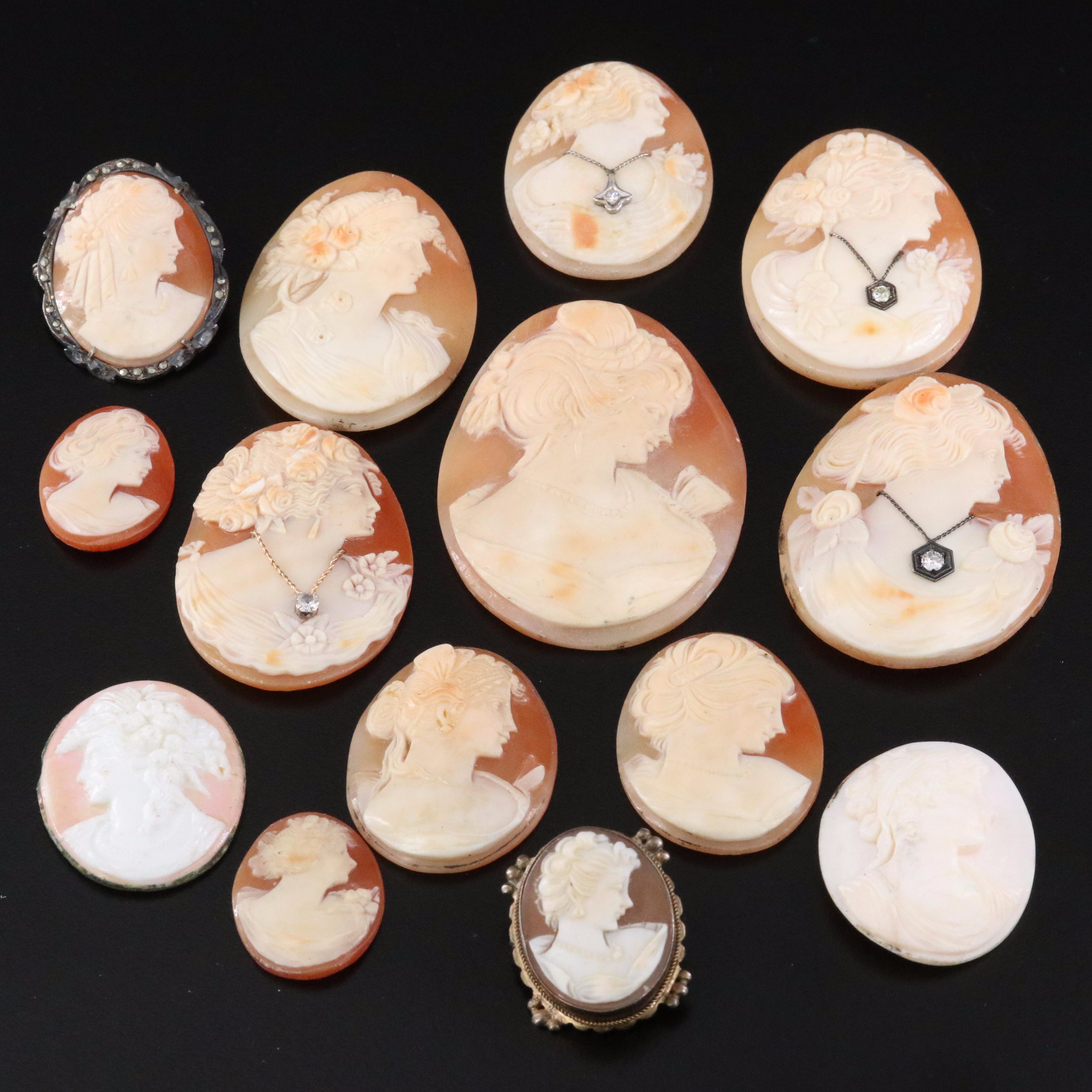 Loose and Mounted Shell Cameo Collection
