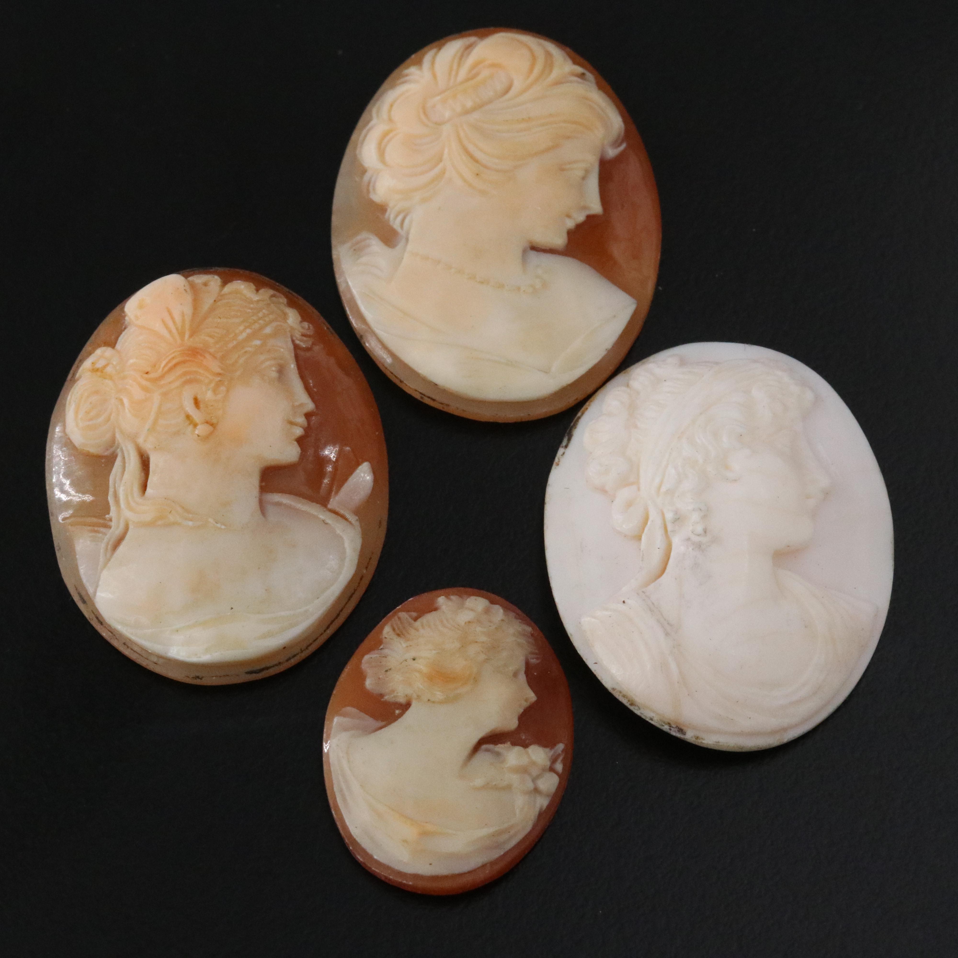 Loose and Mounted Shell Cameo Collection