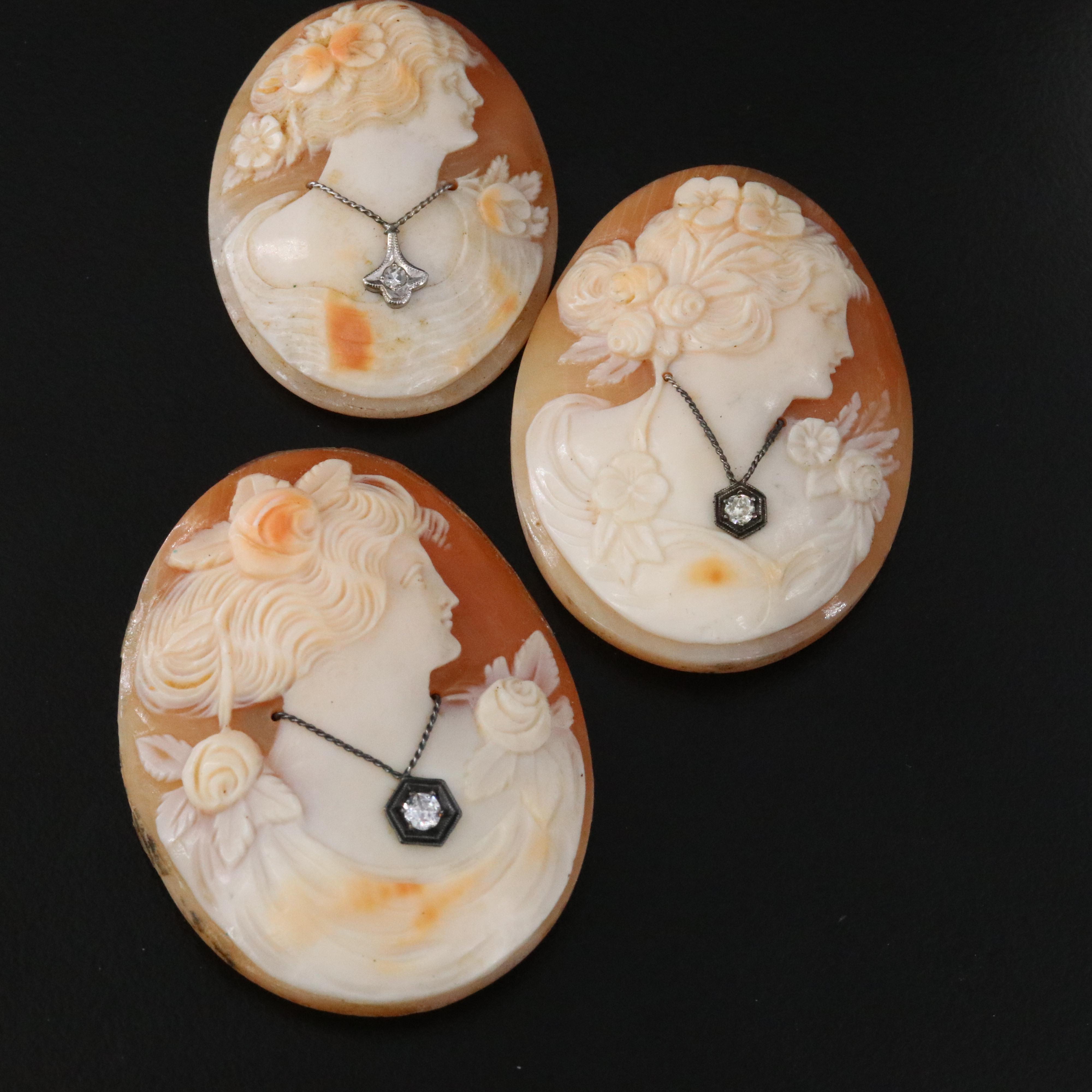 Loose and Mounted Shell Cameo Collection