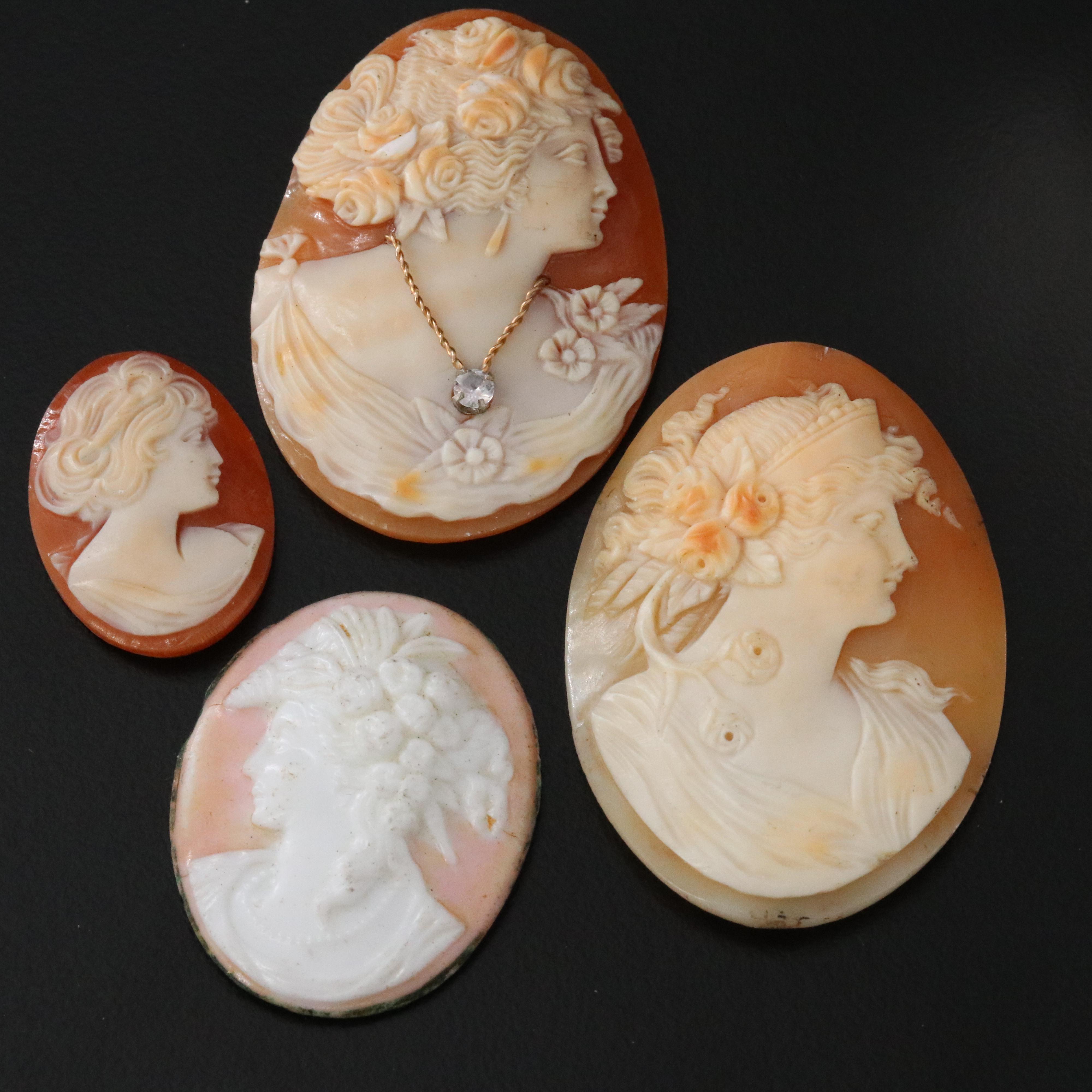 Loose and Mounted Shell Cameo Collection