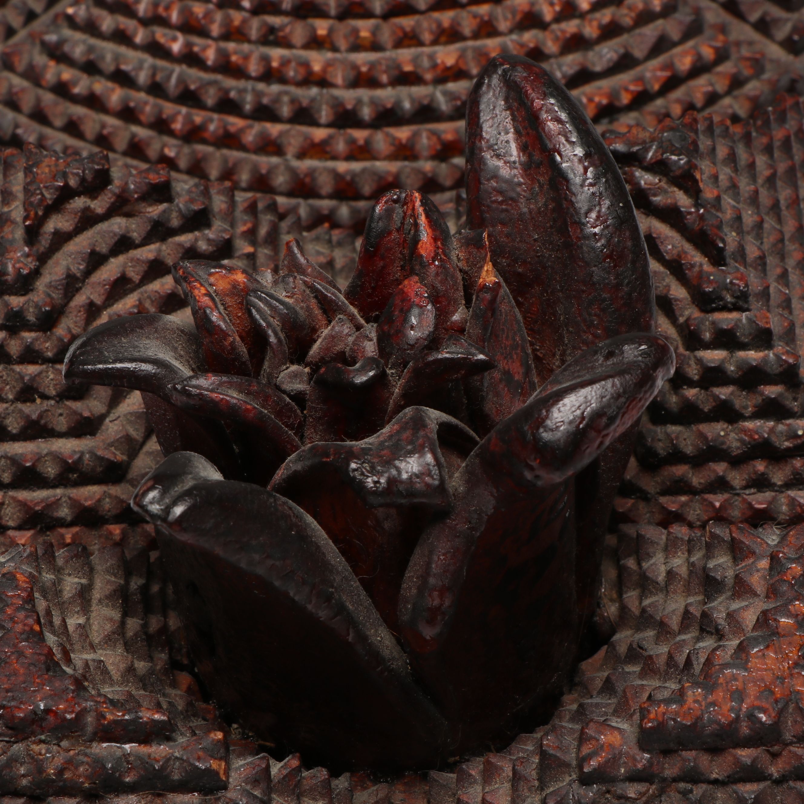 Chip-Carved Wooden Tramp Art Frame with Antique Photograph