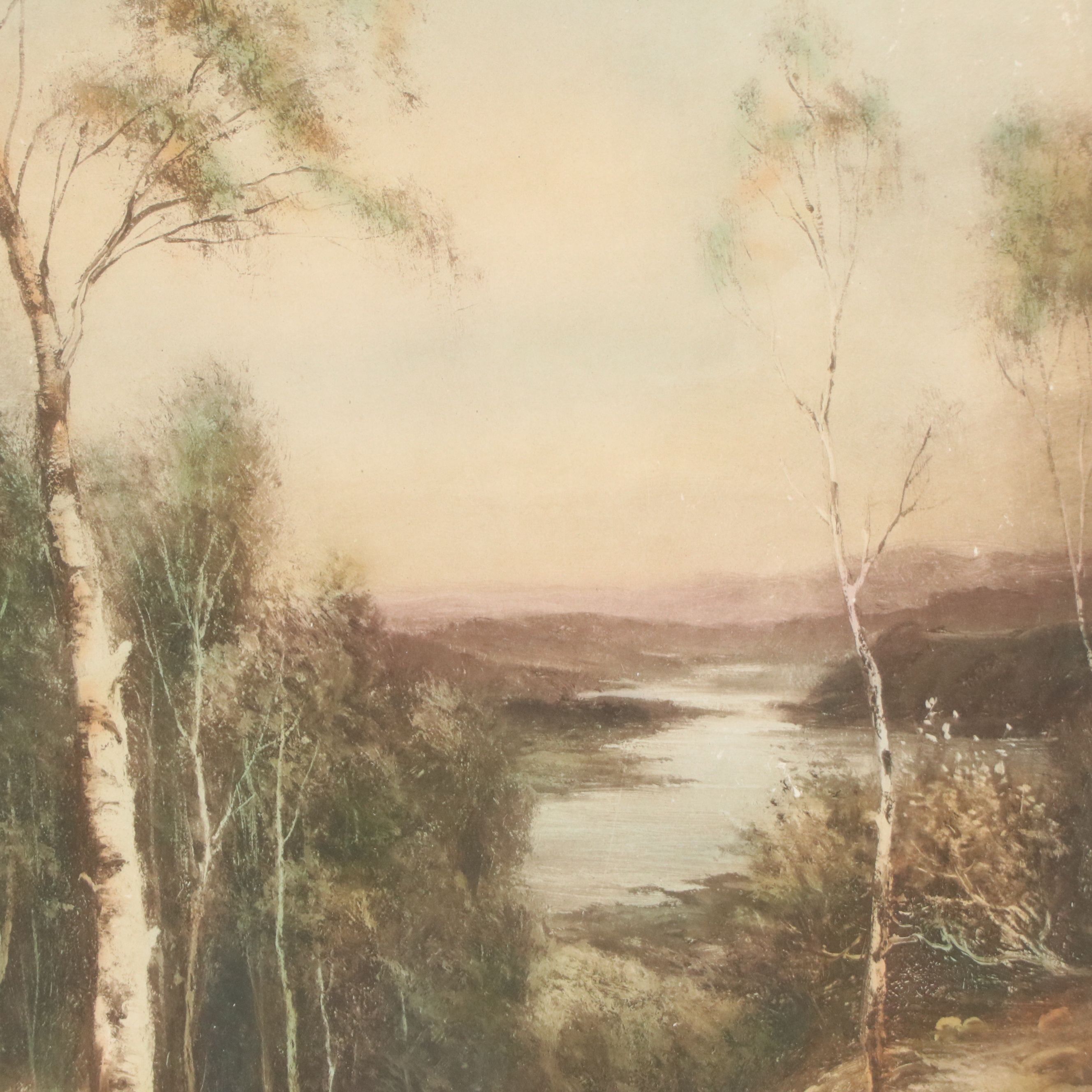 Etching with Aquatint à la Poupée After Douglas Graham "Silver Birches"