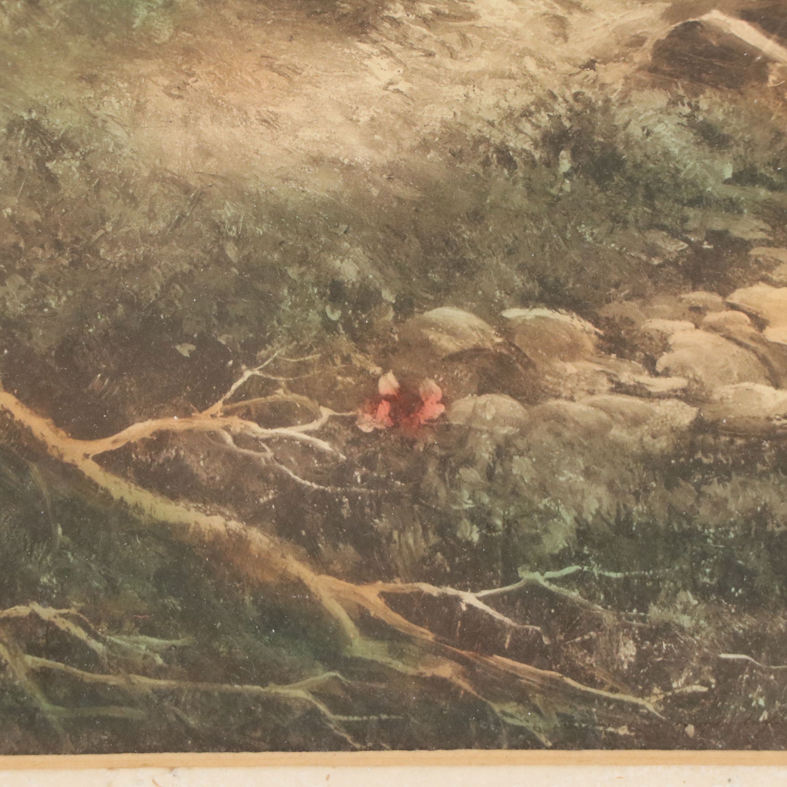 Etching with Aquatint à la Poupée After Douglas Graham "Silver Birches"