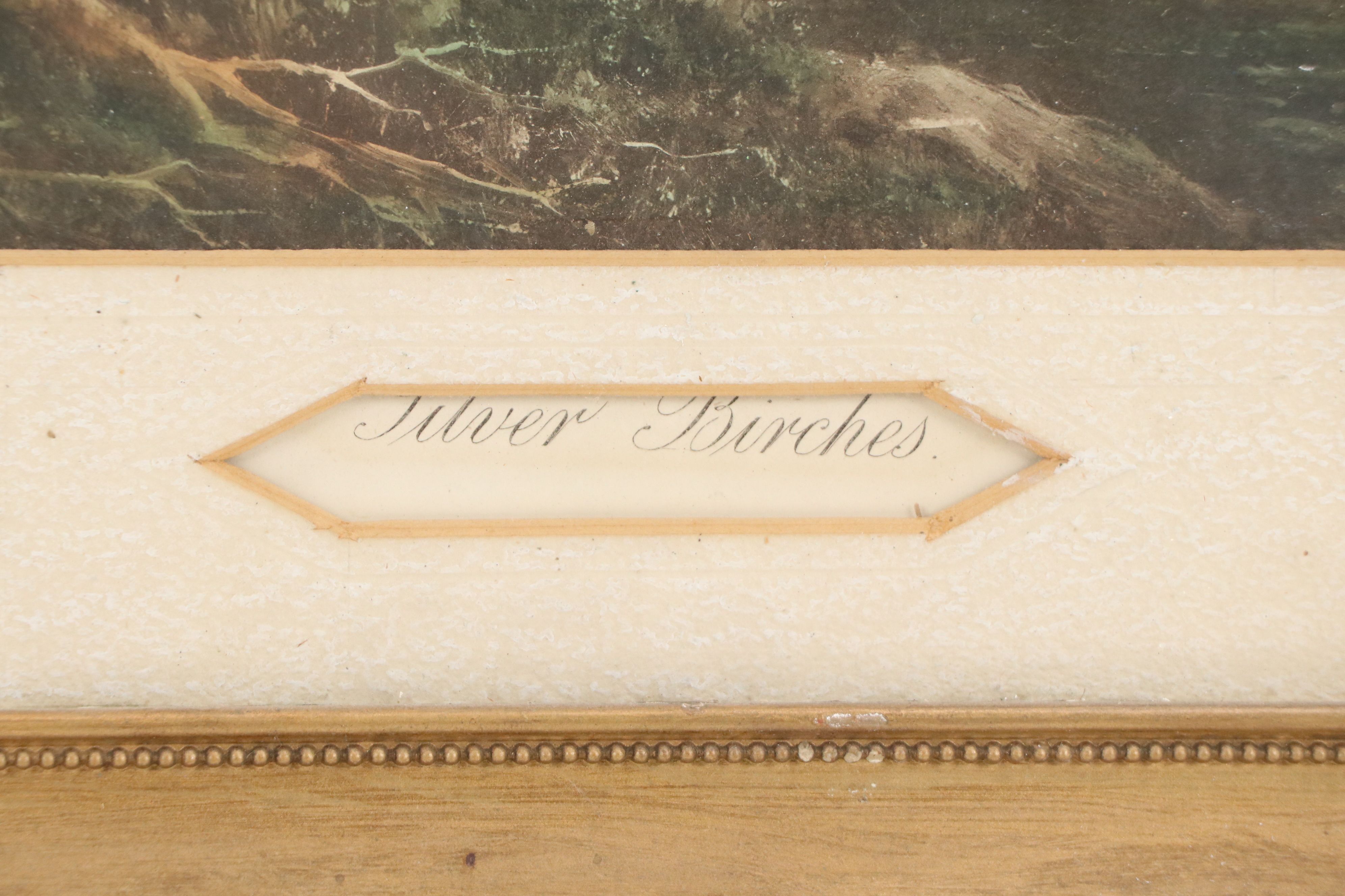 Etching with Aquatint à la Poupée After Douglas Graham "Silver Birches"