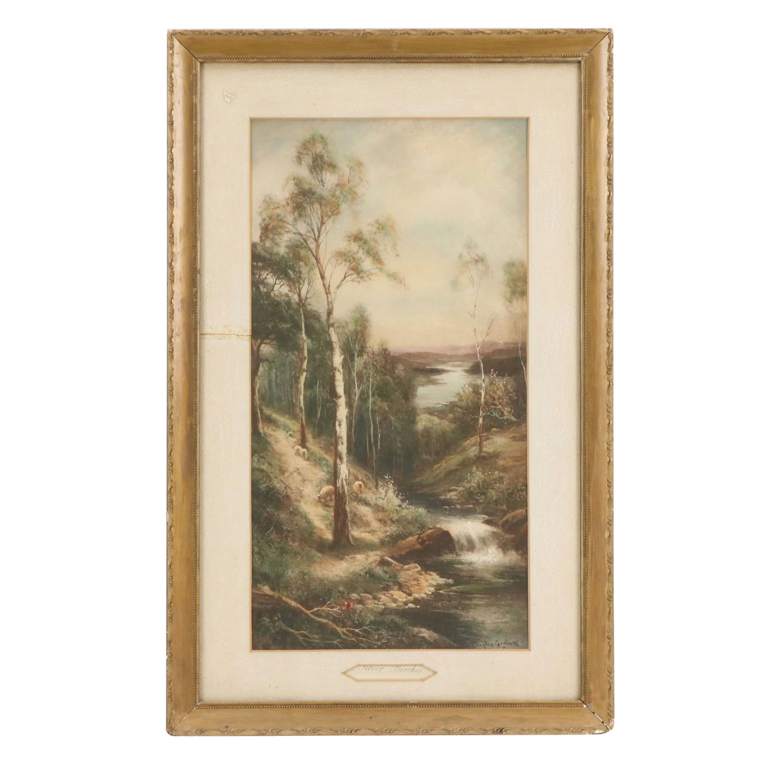 Etching with Aquatint à la Poupée After Douglas Graham "Silver Birches"