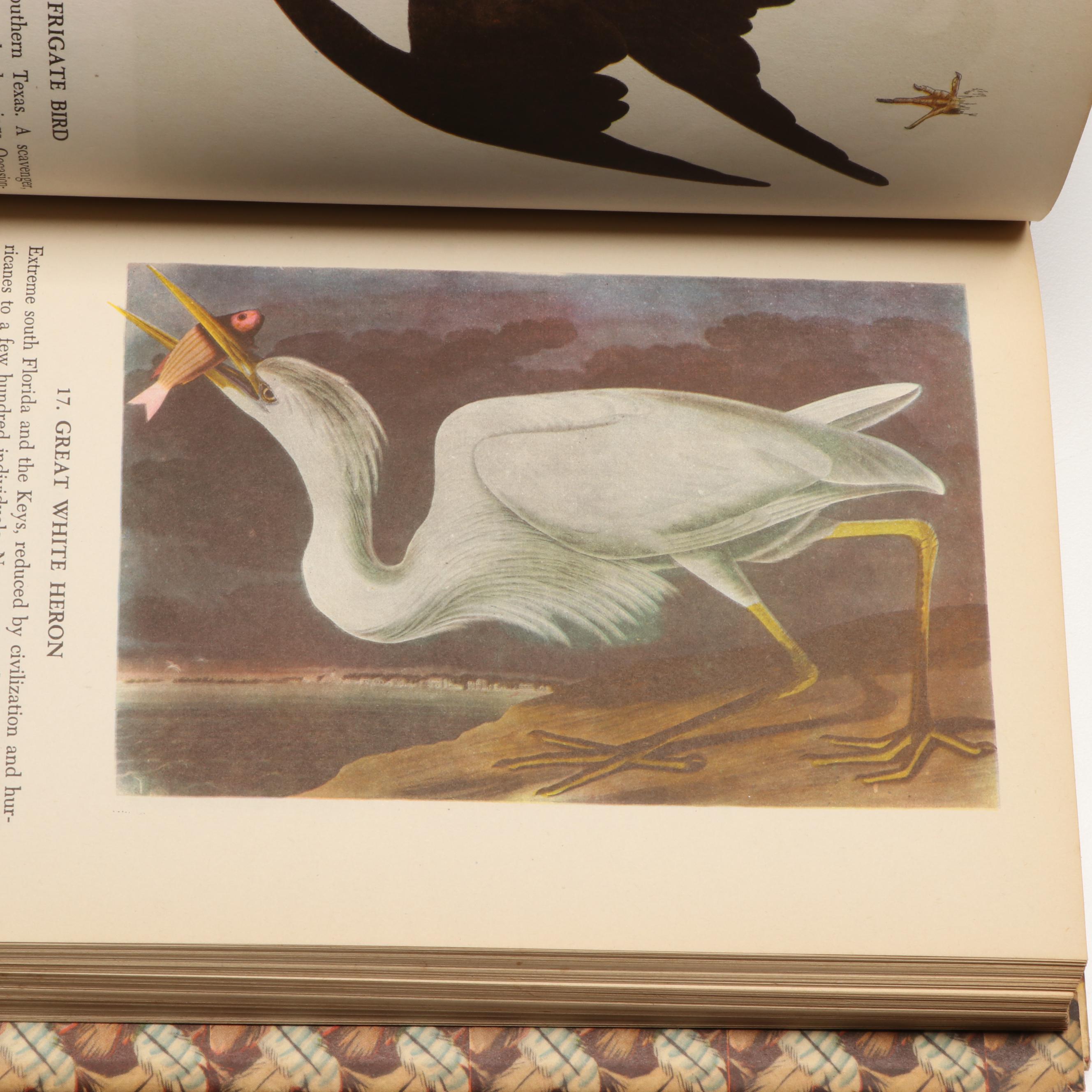 Popular Edition "Audubon's Birds of America" with "The Birds of Ohio" Set