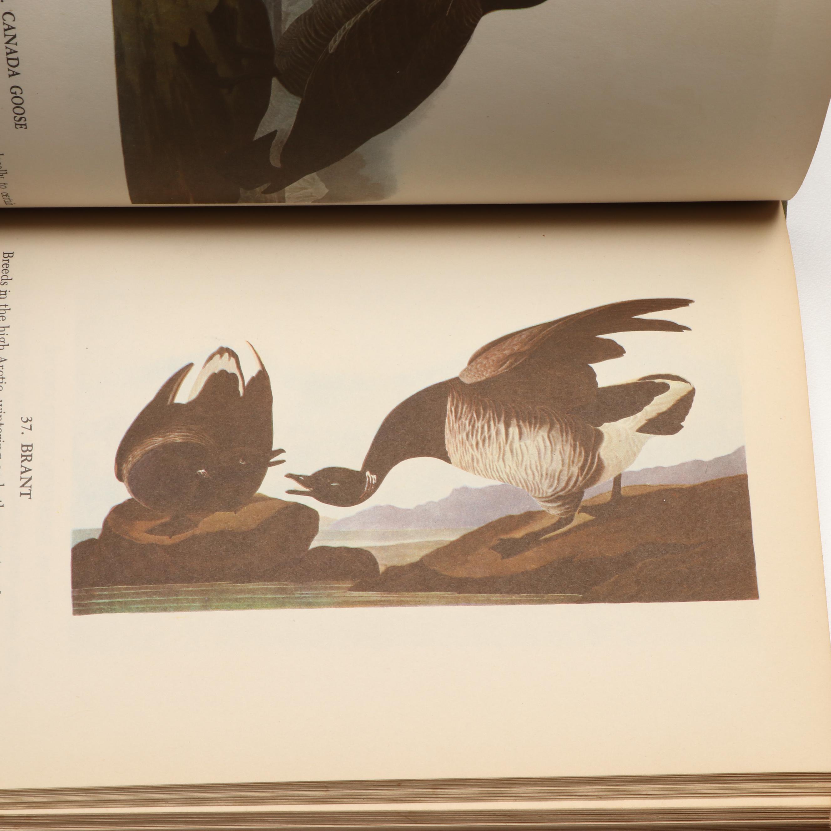 Popular Edition "Audubon's Birds of America" with "The Birds of Ohio" Set