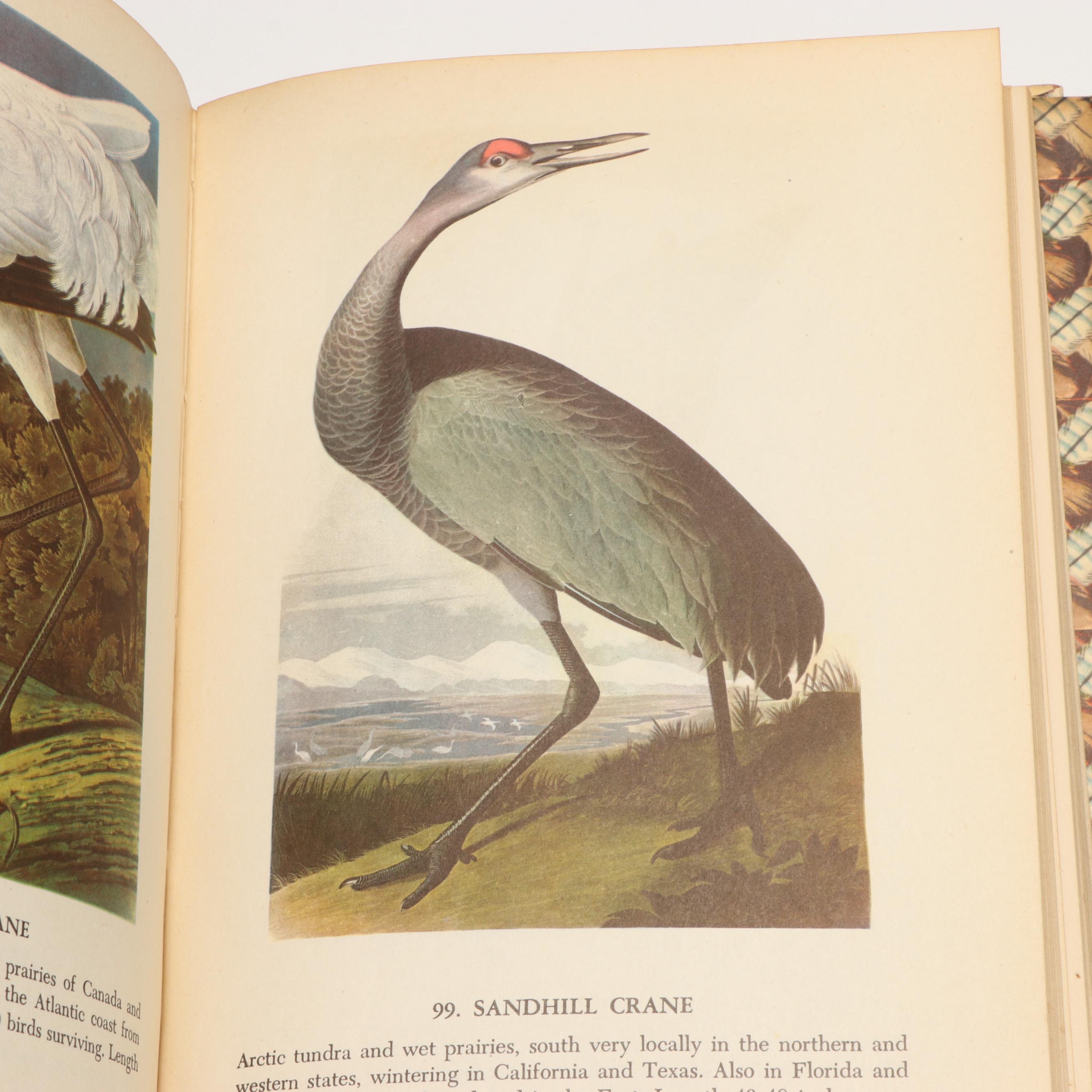 Popular Edition "Audubon's Birds of America" with "The Birds of Ohio" Set