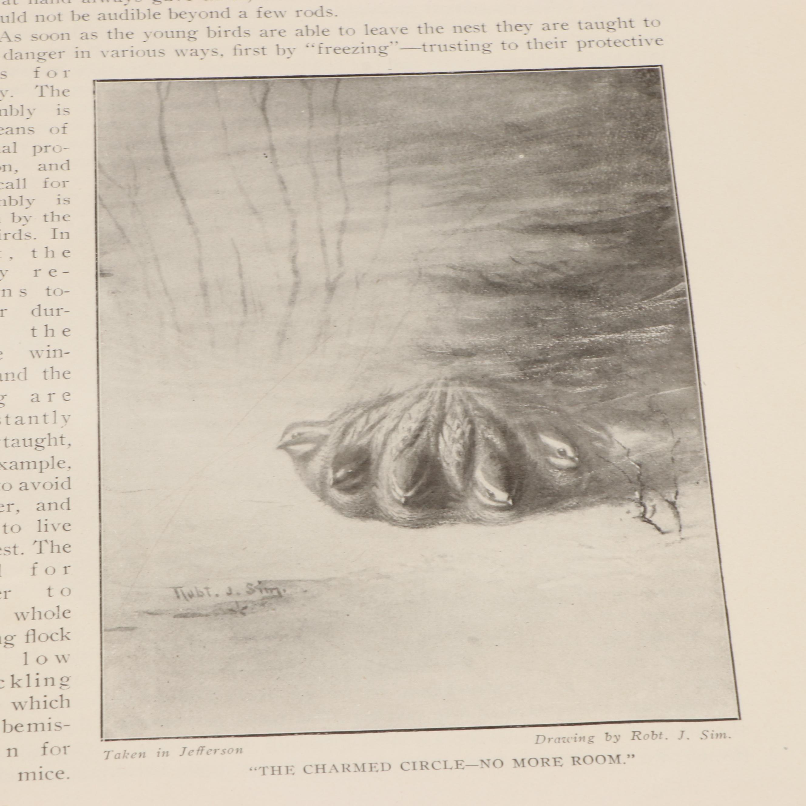 Popular Edition "Audubon's Birds of America" with "The Birds of Ohio" Set