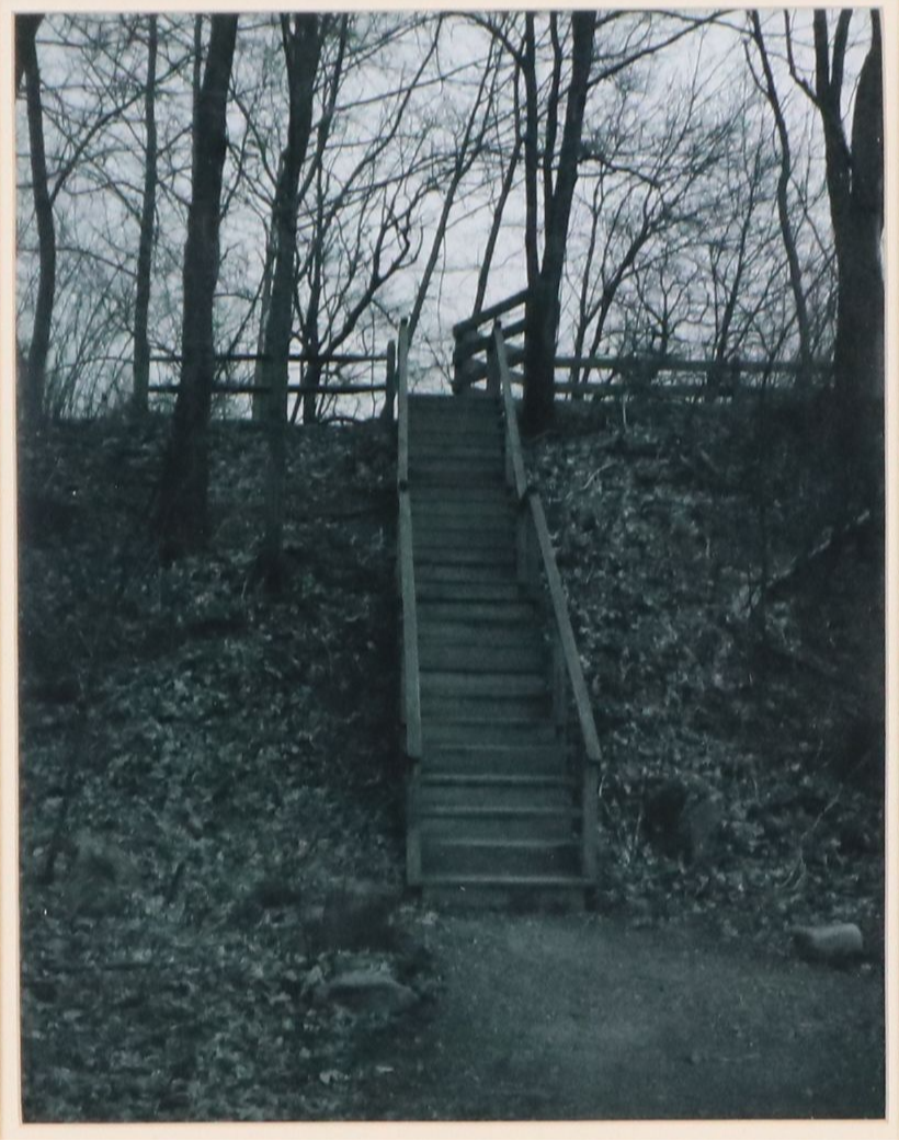 Black and White Photographic Print of Staircase in the Woods