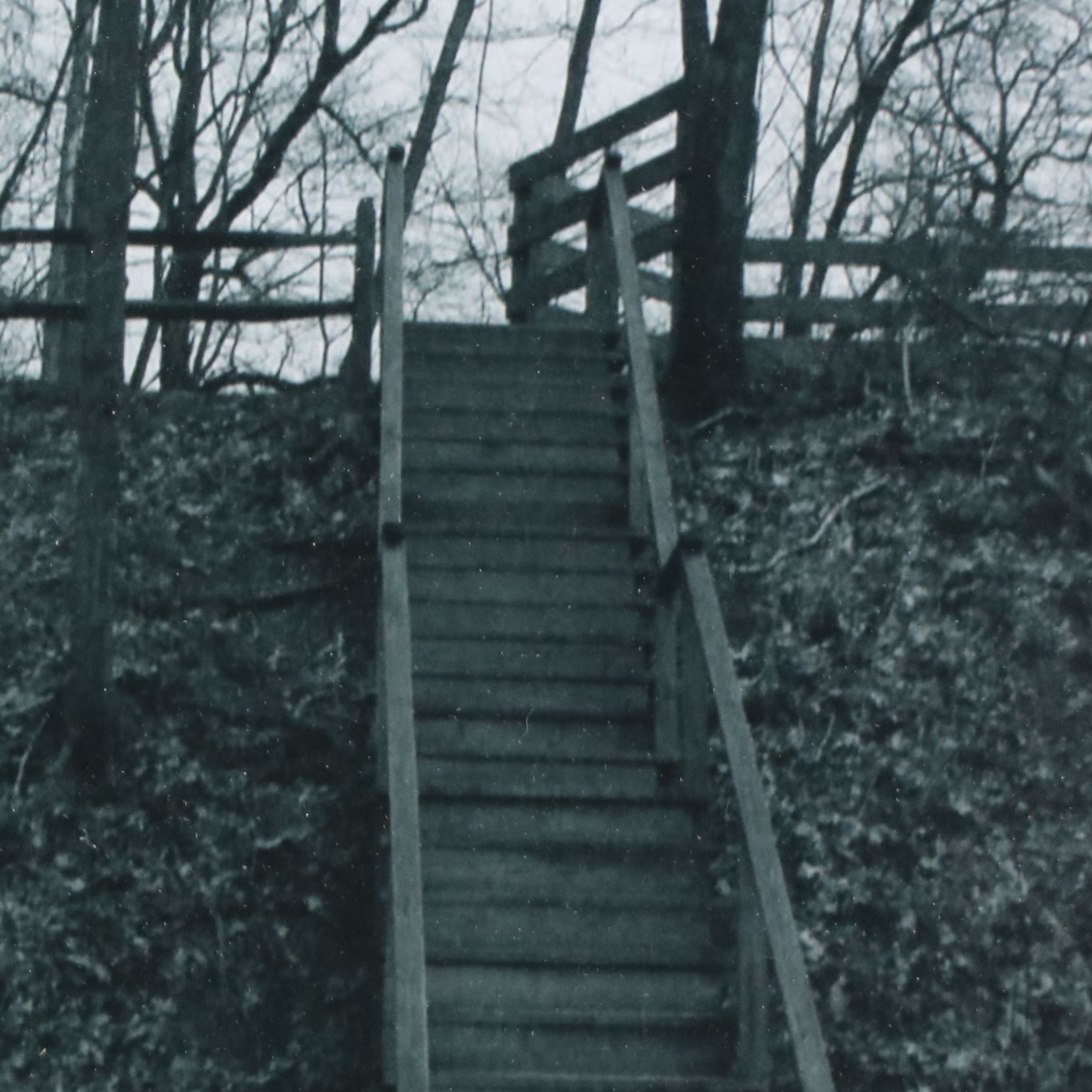 Black and White Photographic Print of Staircase in the Woods