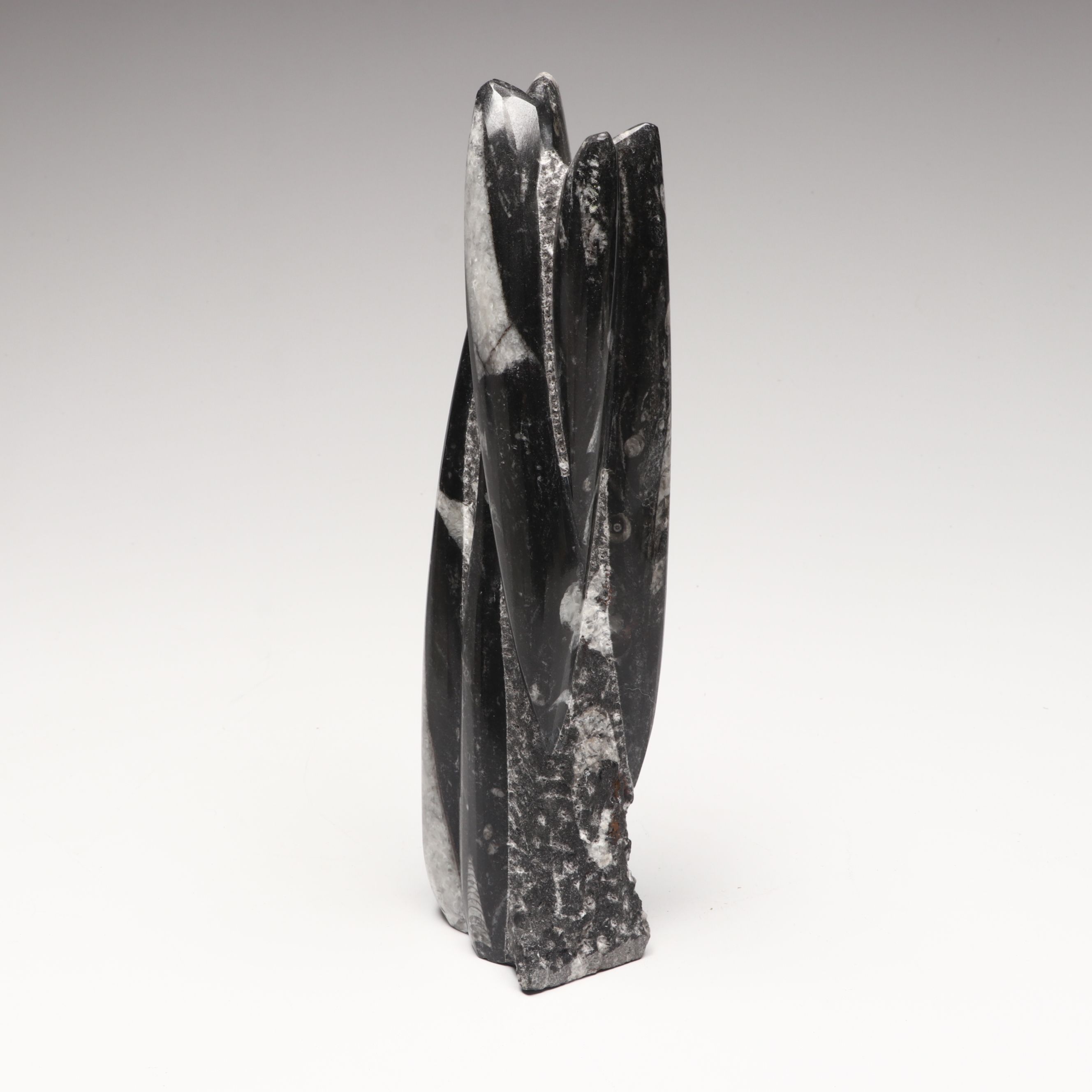 Orthoceras in Matrix, Calcite Salt Cellars and Banded Calcite Bookends