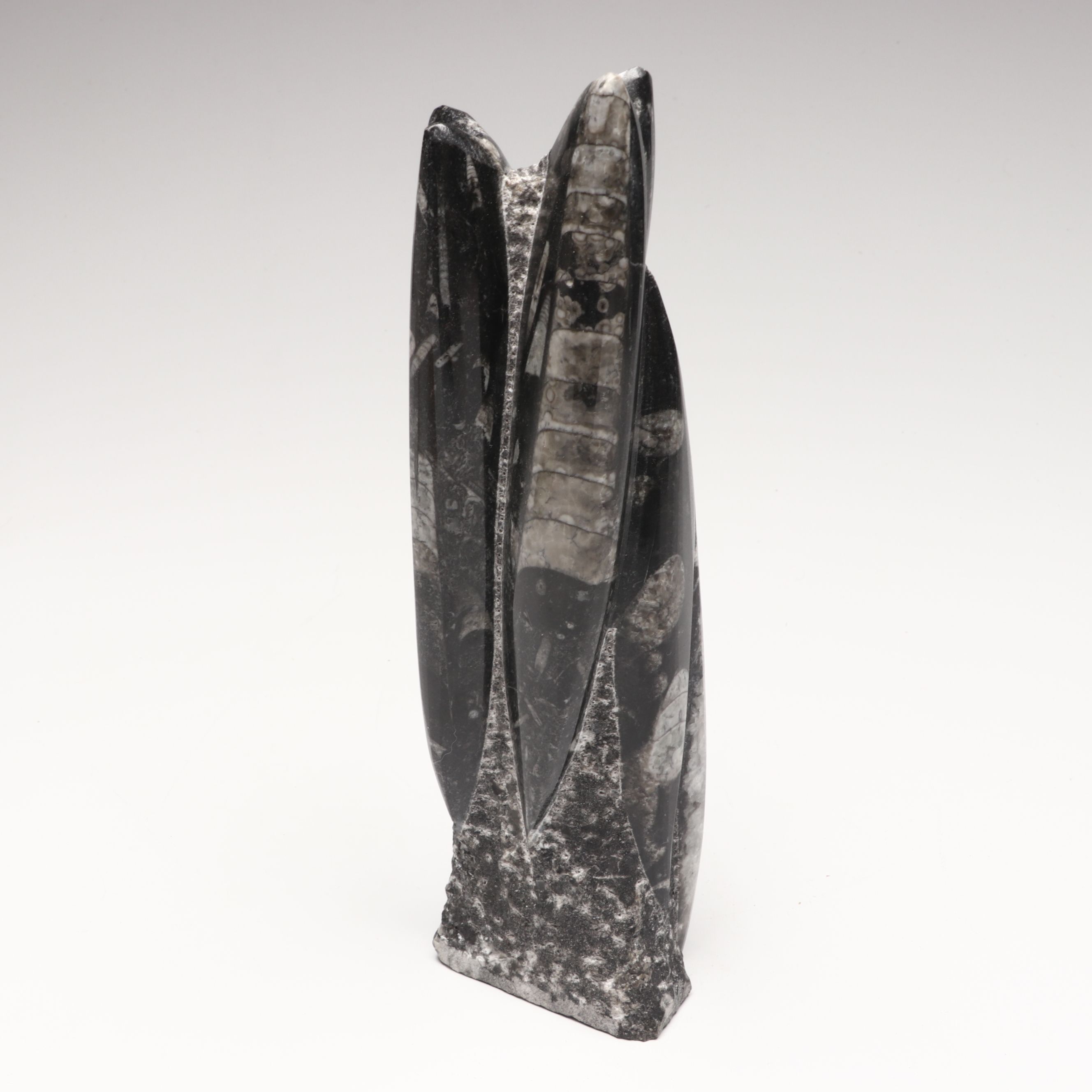 Orthoceras in Matrix, Calcite Salt Cellars and Banded Calcite Bookends