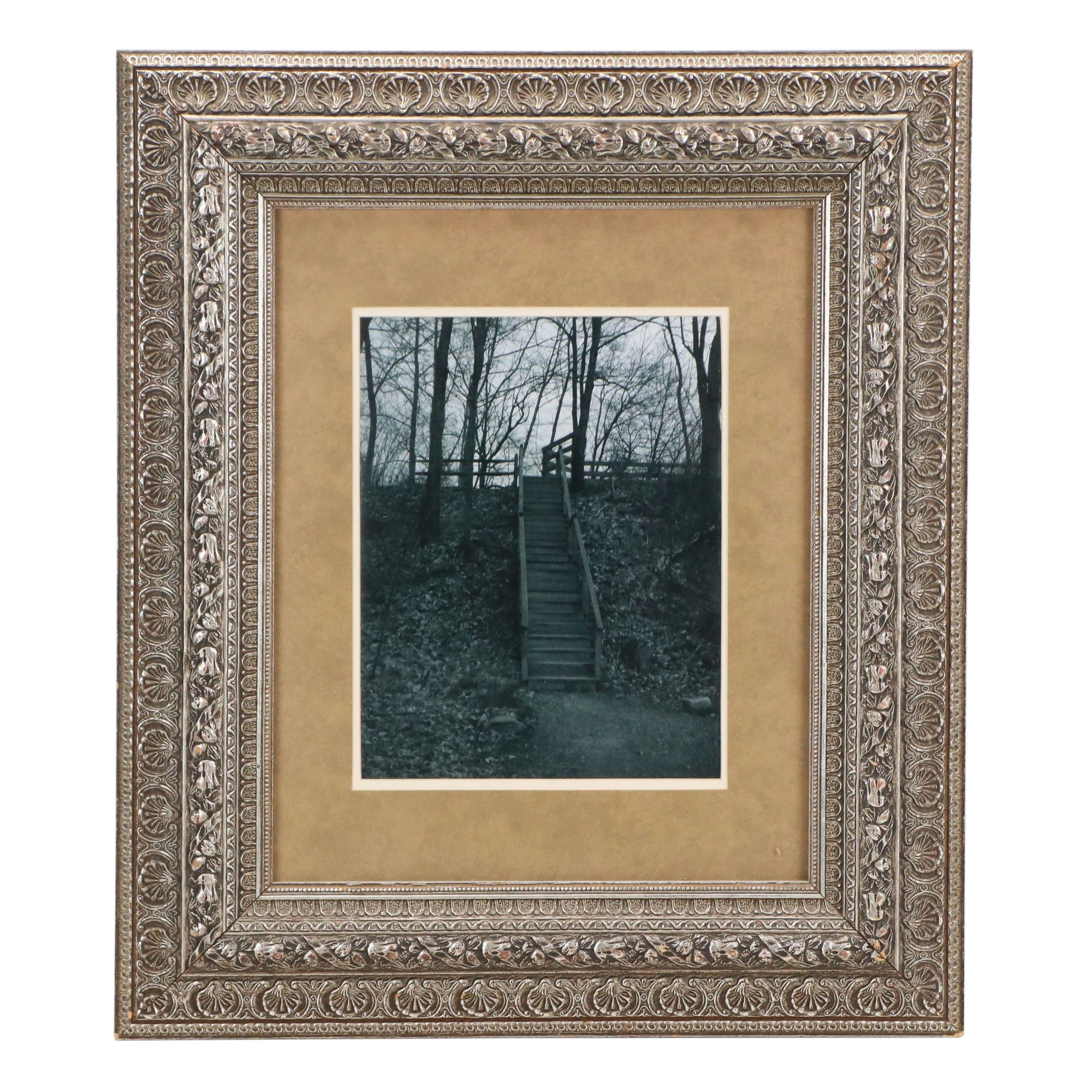 Black and White Photographic Print of Staircase in the Woods