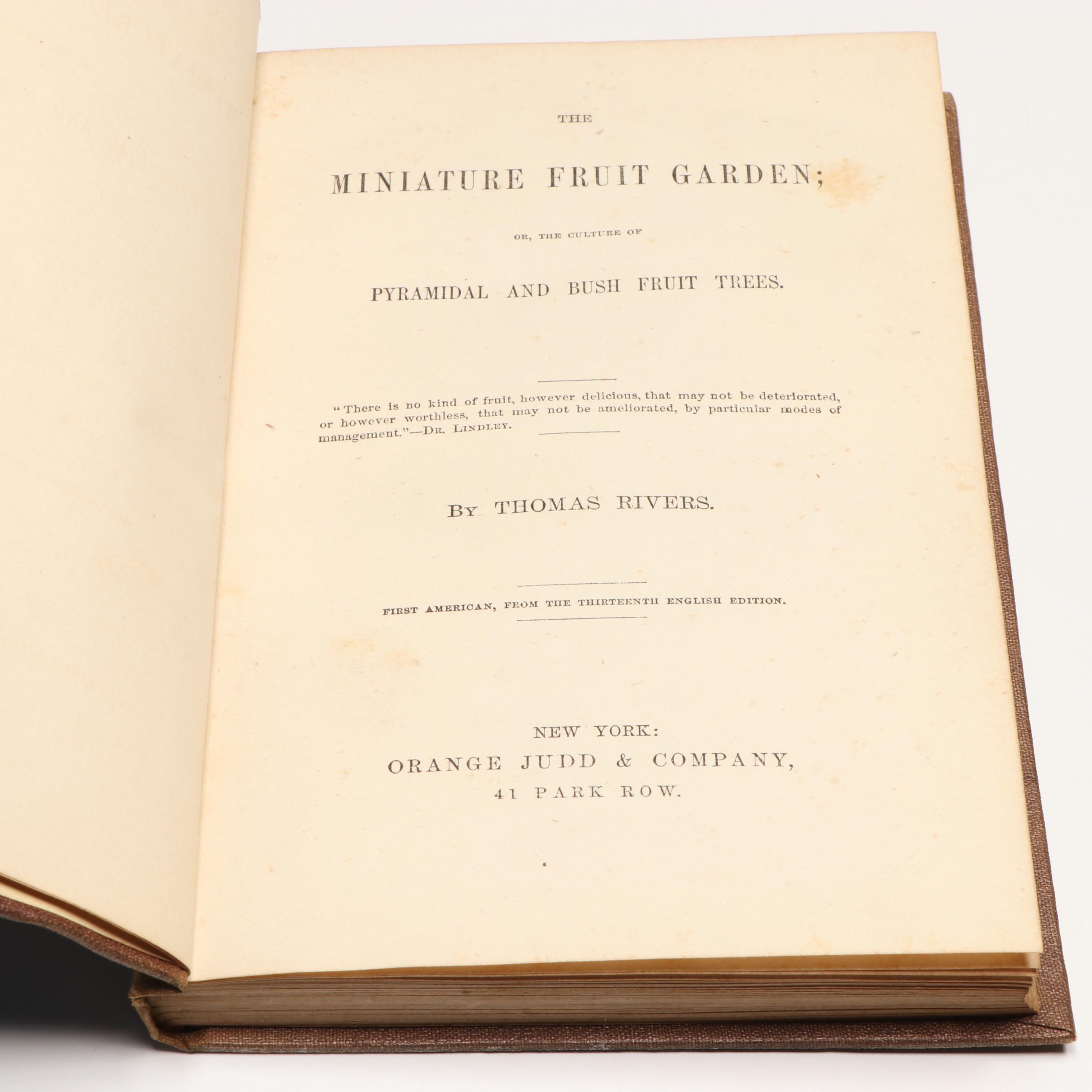 Signed "Leaves from our Tuscan Kitchen" with More Nonfiction Books