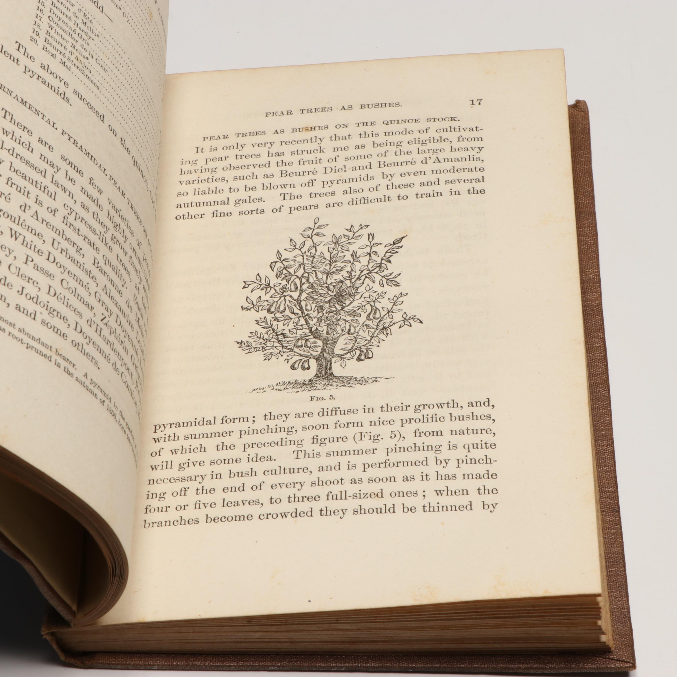 Signed "Leaves from our Tuscan Kitchen" with More Nonfiction Books