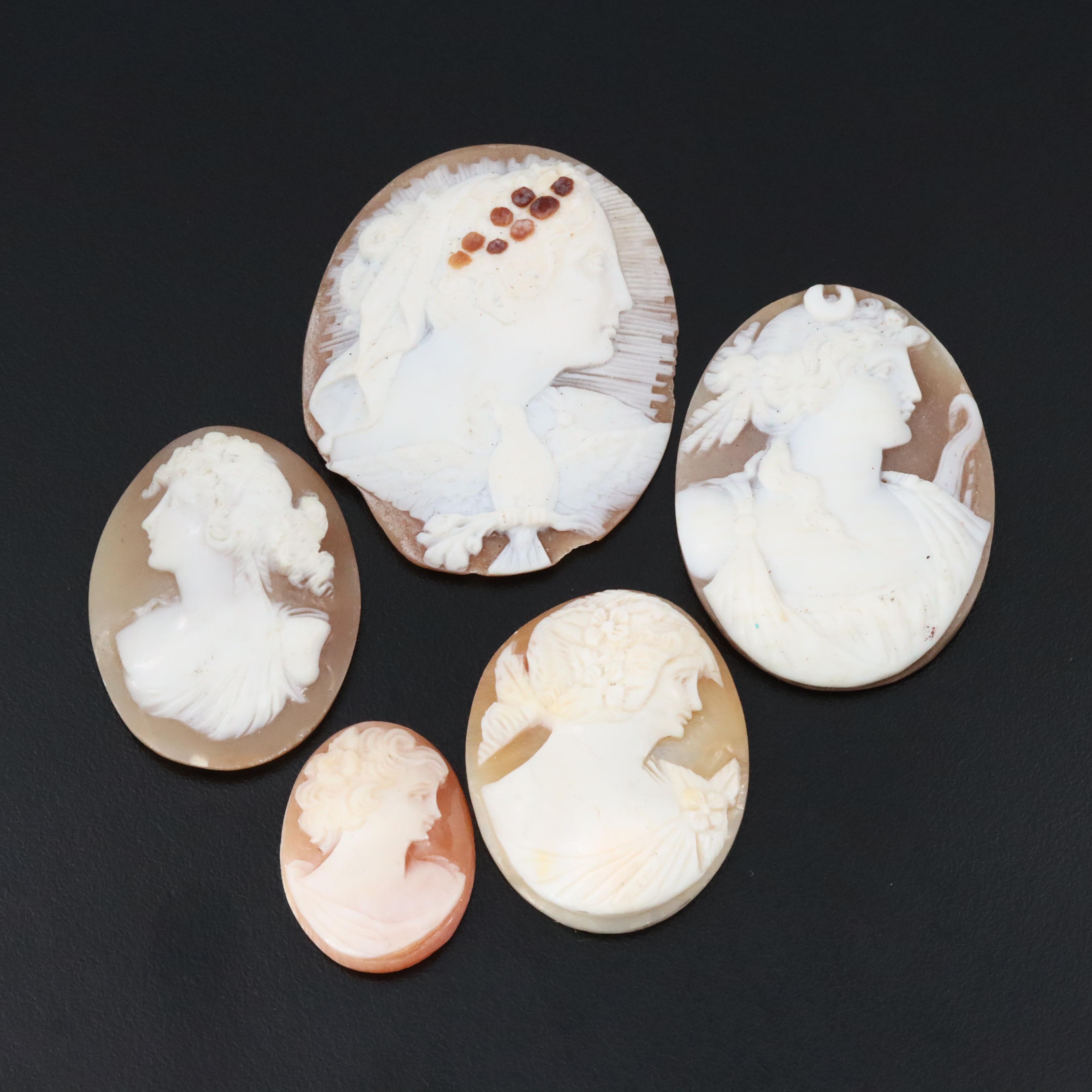 Loose Shell Cameos Featuring Goddess Diana