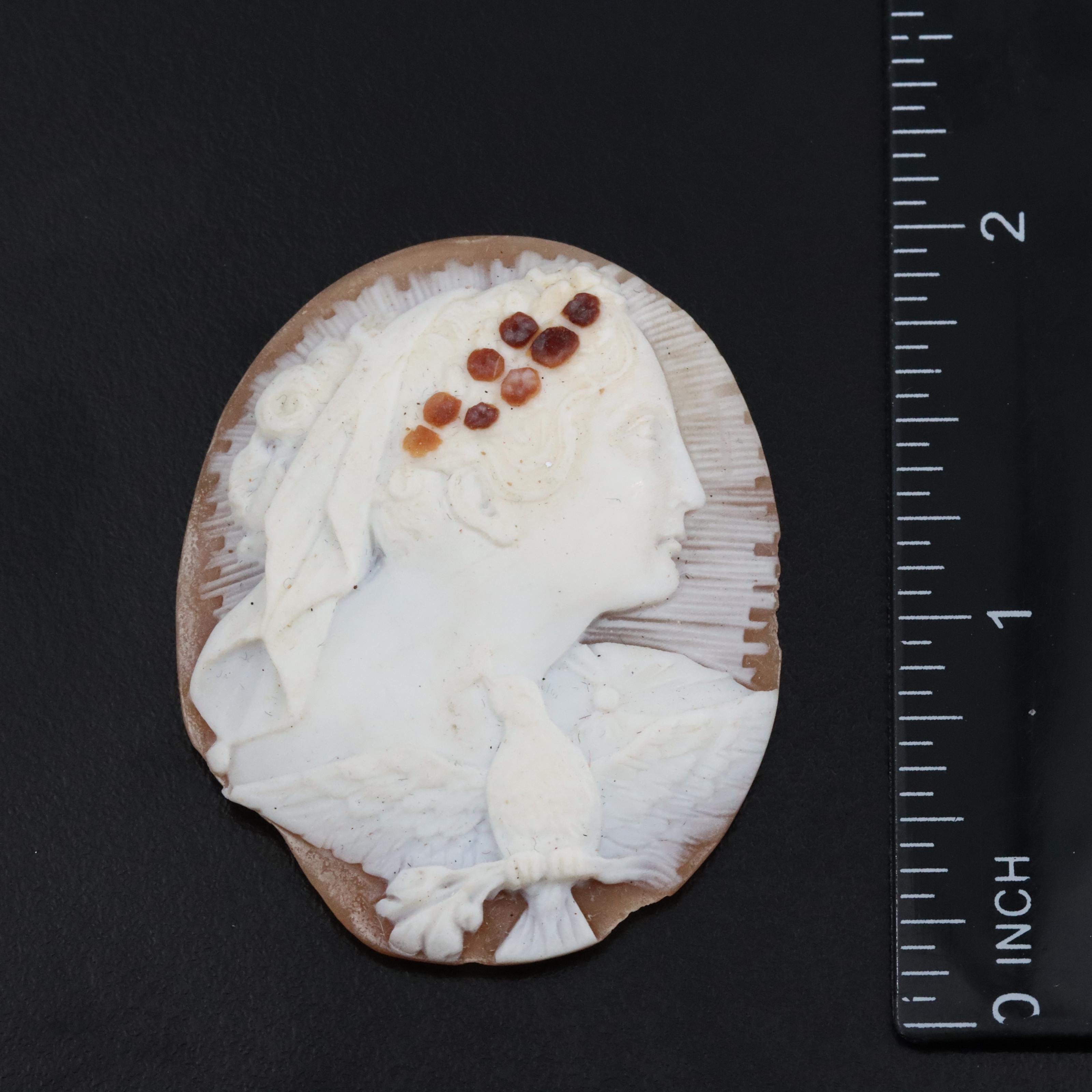 Loose Shell Cameos Featuring Goddess Diana
