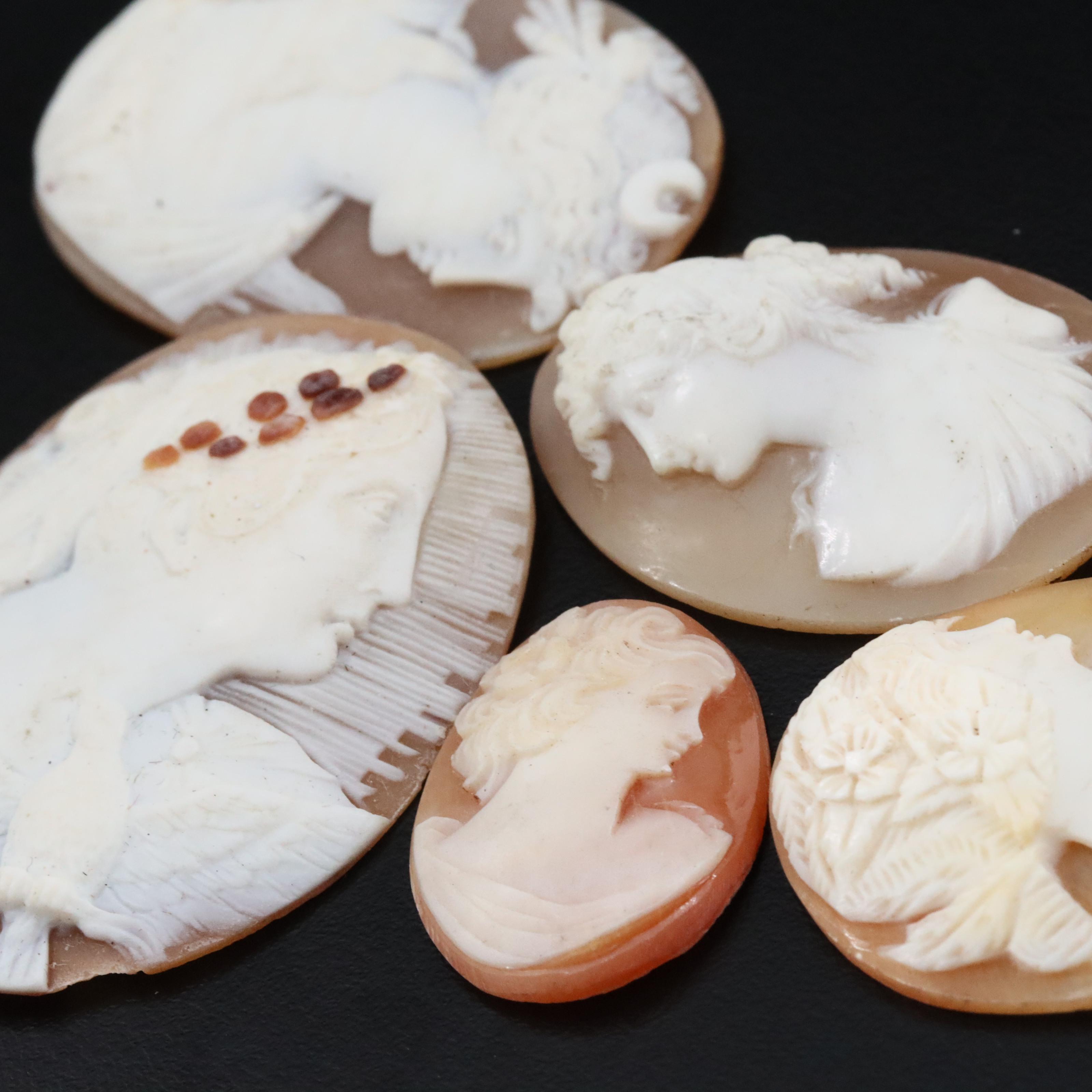 Loose Shell Cameos Featuring Goddess Diana
