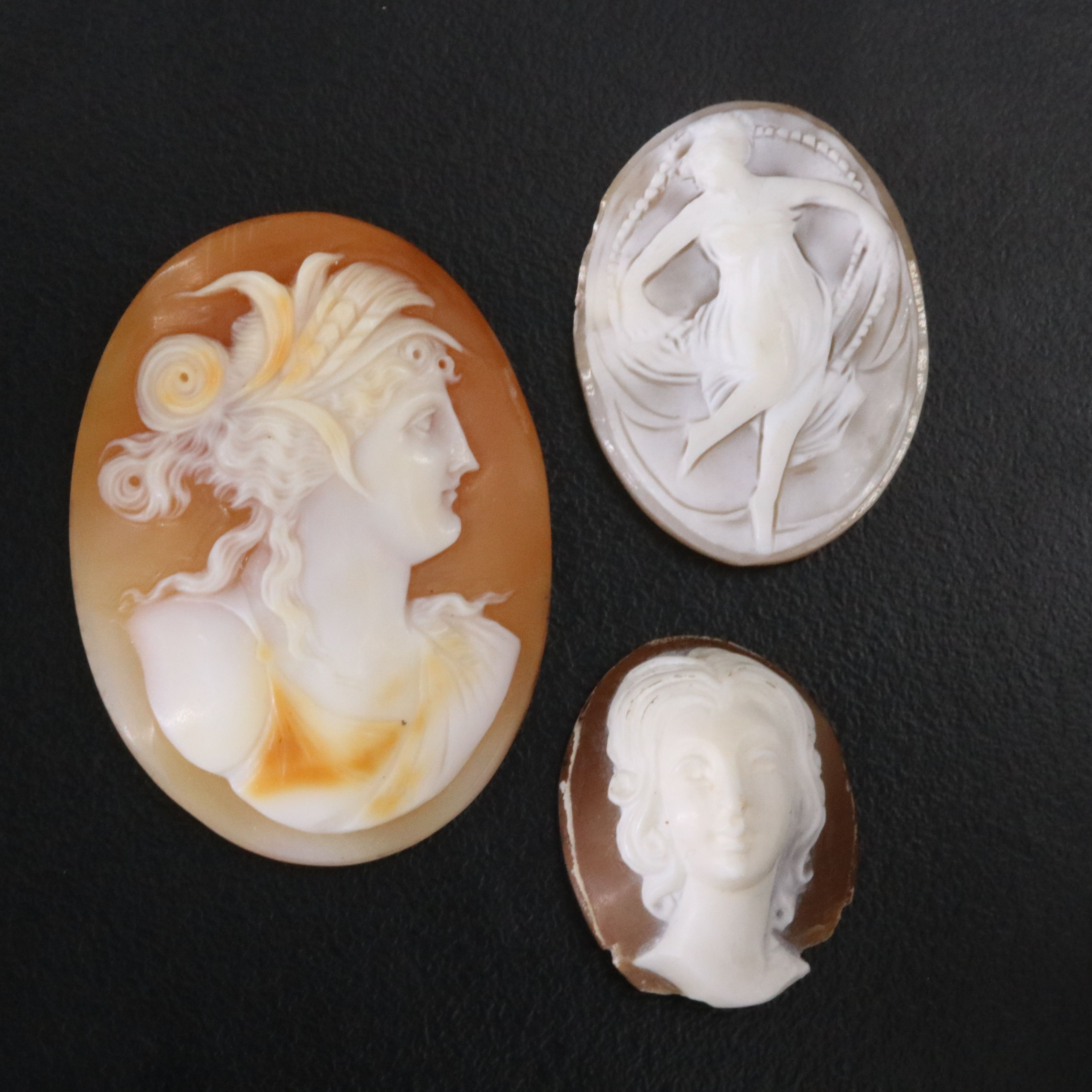 Loose Shell Cameo Lot