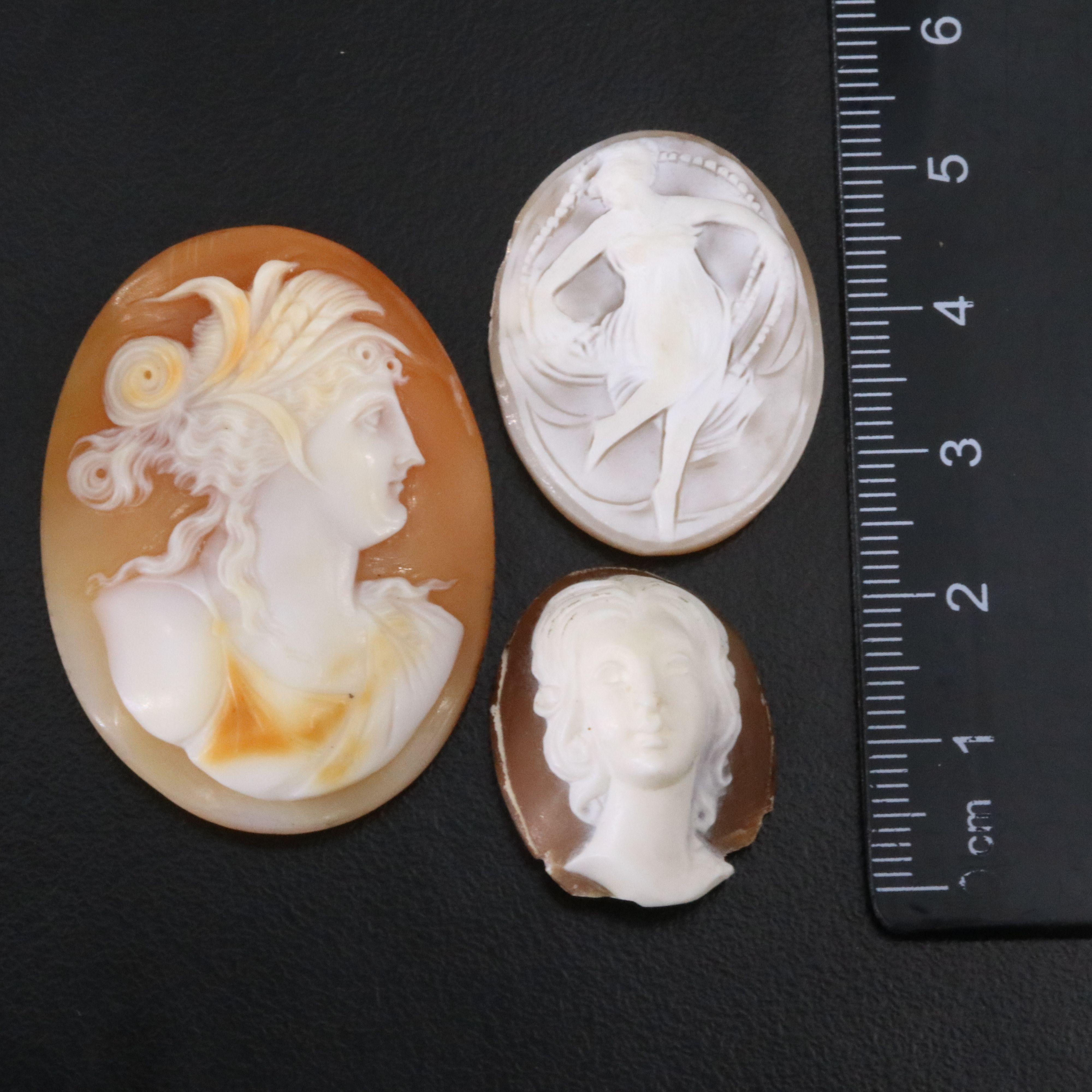Loose Shell Cameo Lot