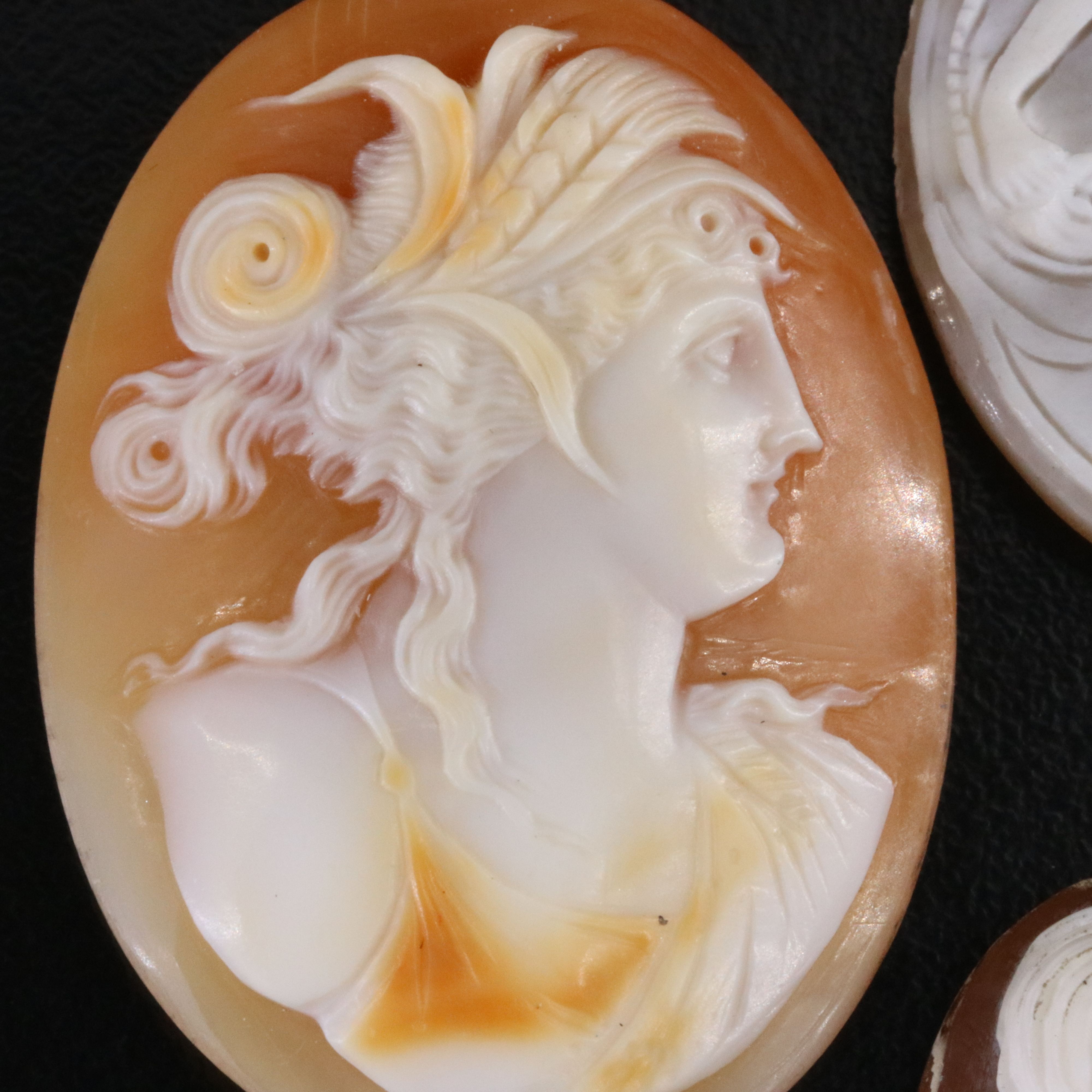 Loose Shell Cameo Lot