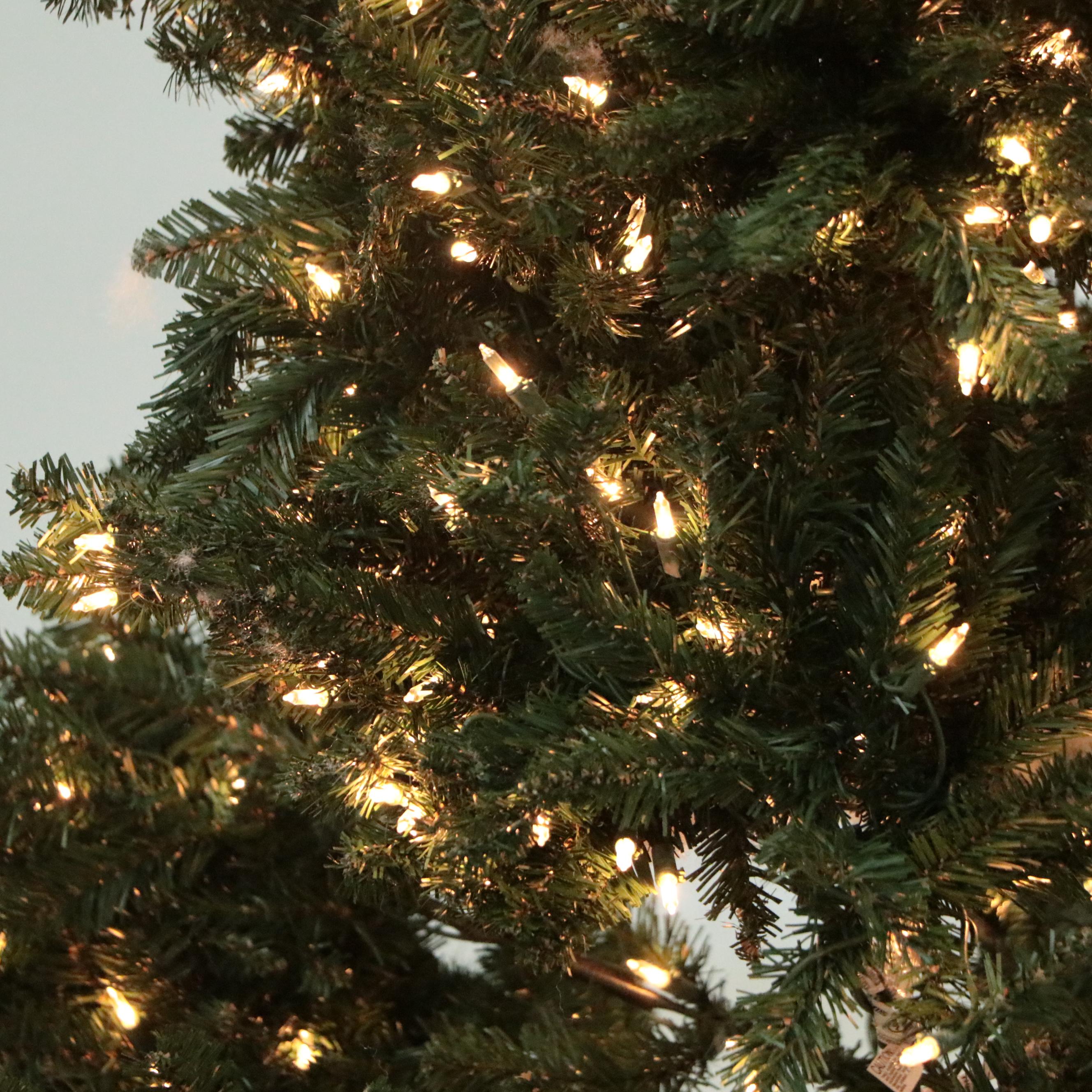 7'6 Pre-Lit Warm White Frasier Fir Christmas Tree with Remotes