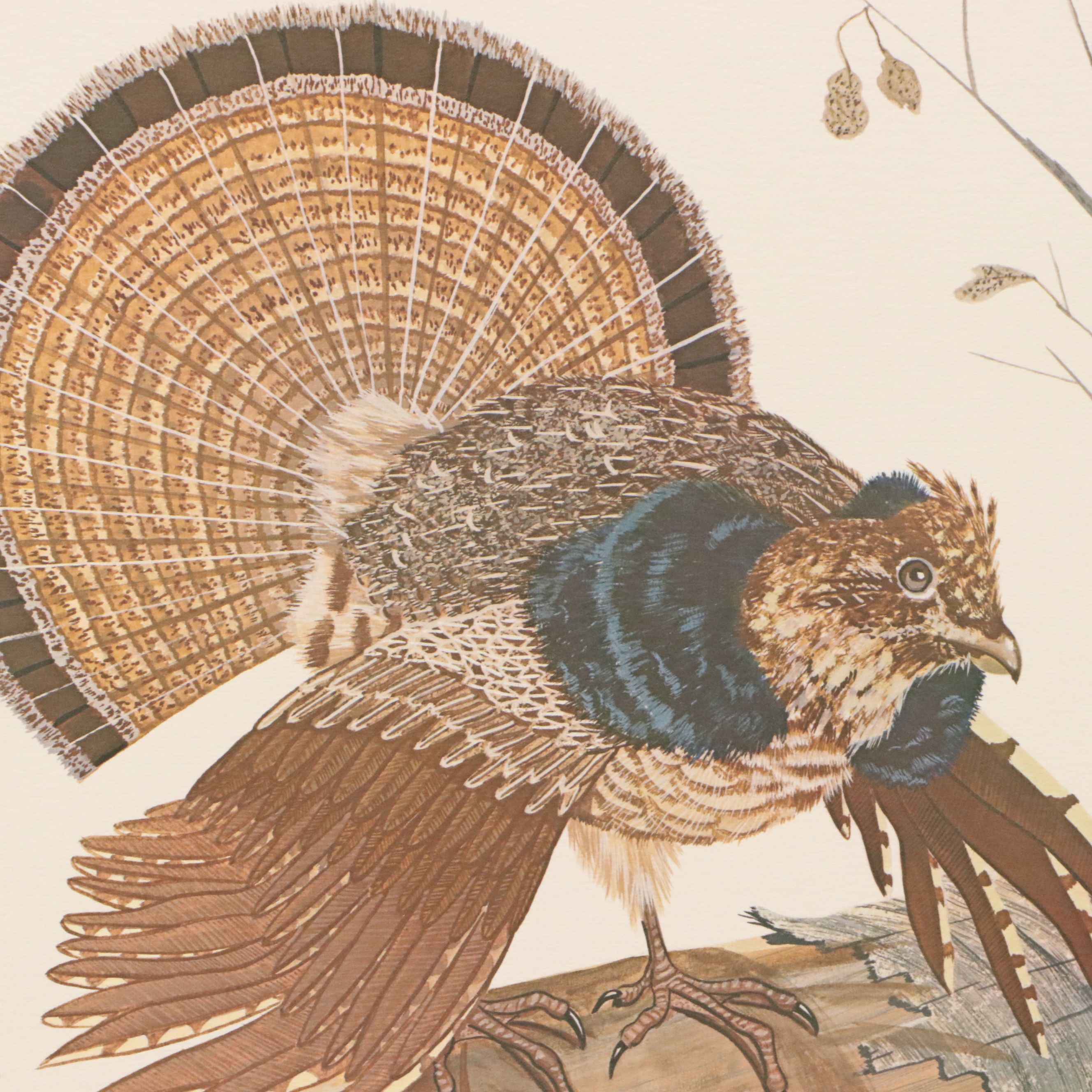 Gene Gray Green River Offset Lithograph "Ruffed Grouse"