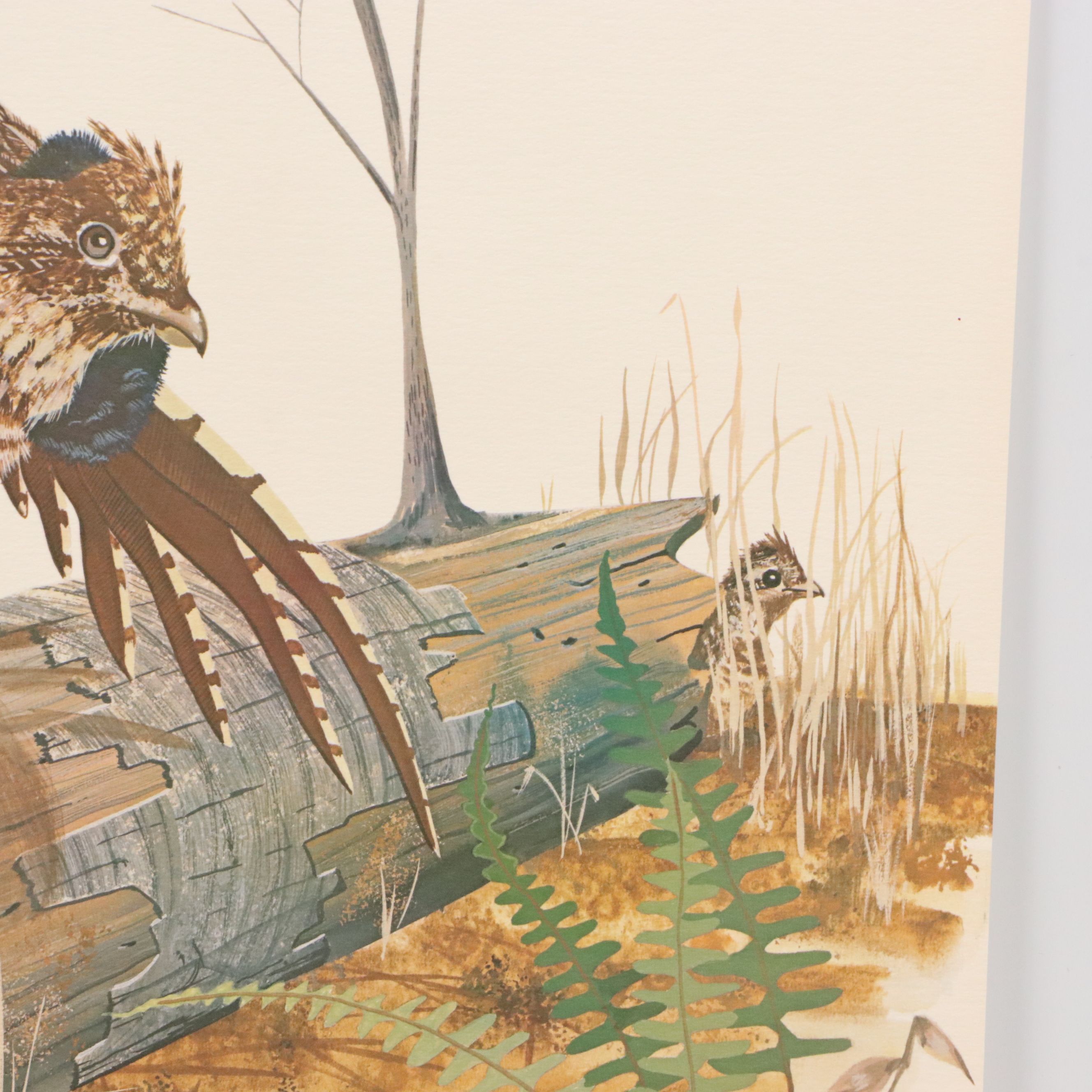 Gene Gray Green River Offset Lithograph "Ruffed Grouse"