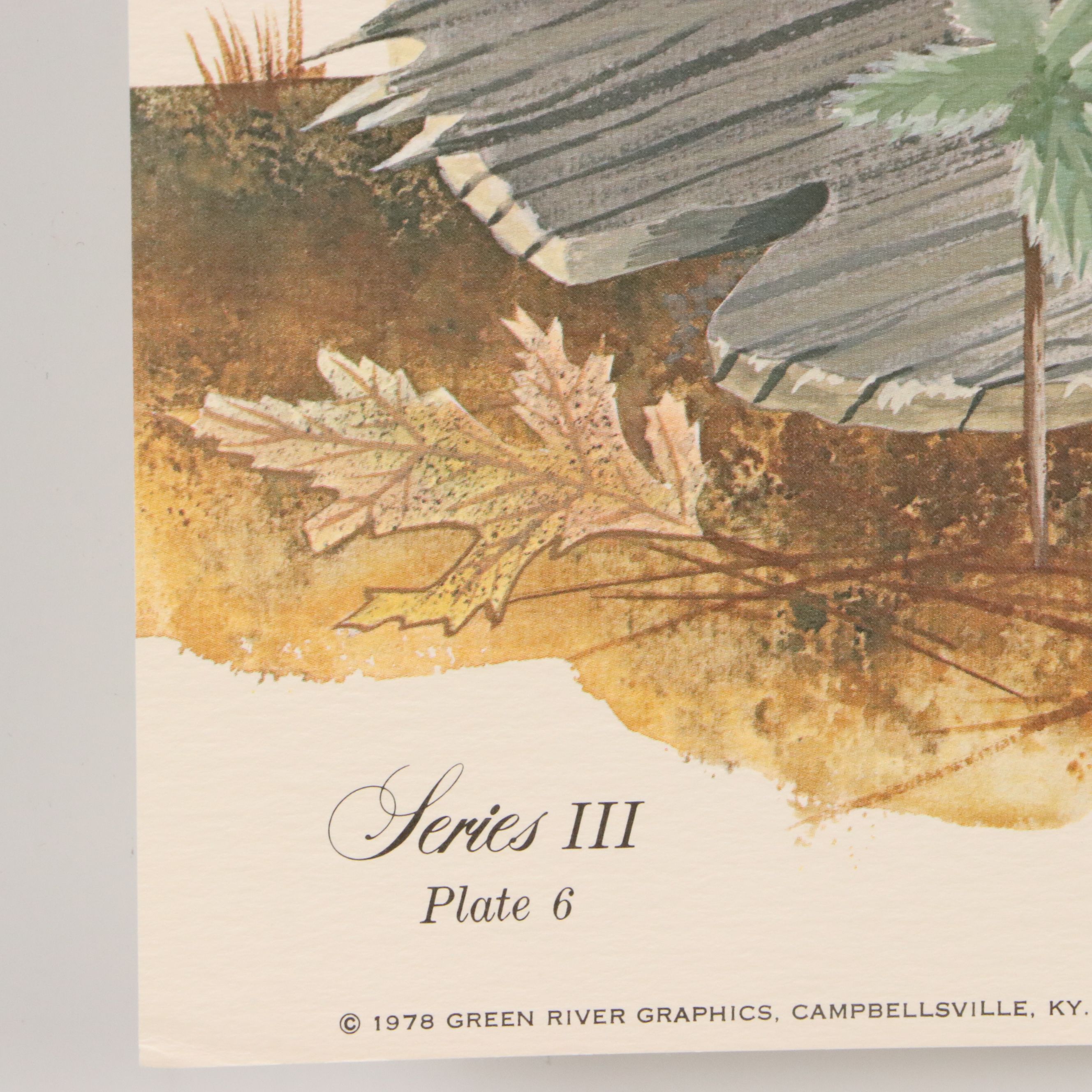 Gene Gray Green River Offset Lithograph "Ruffed Grouse"