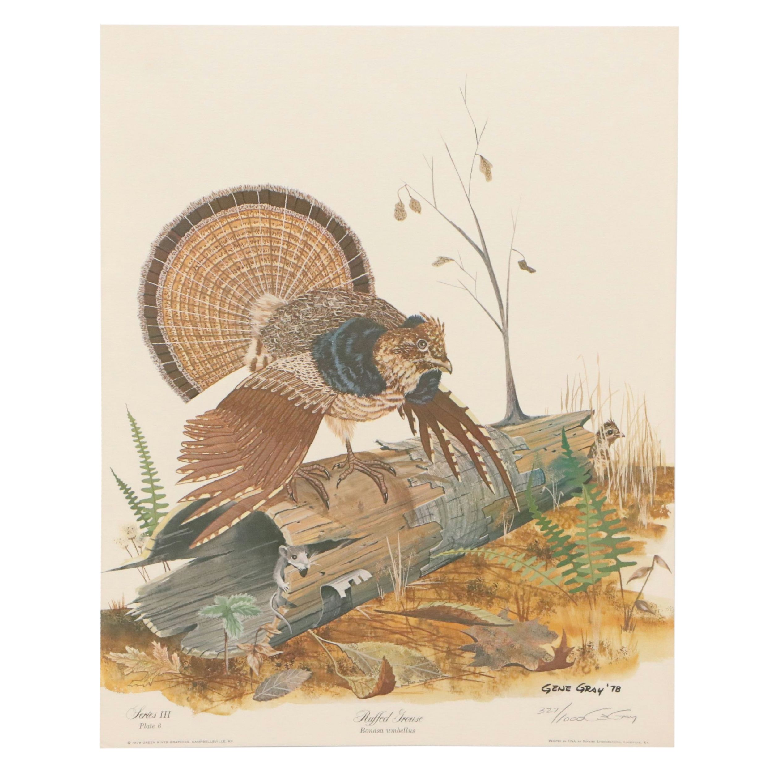 Gene Gray Green River Offset Lithograph "Ruffed Grouse"