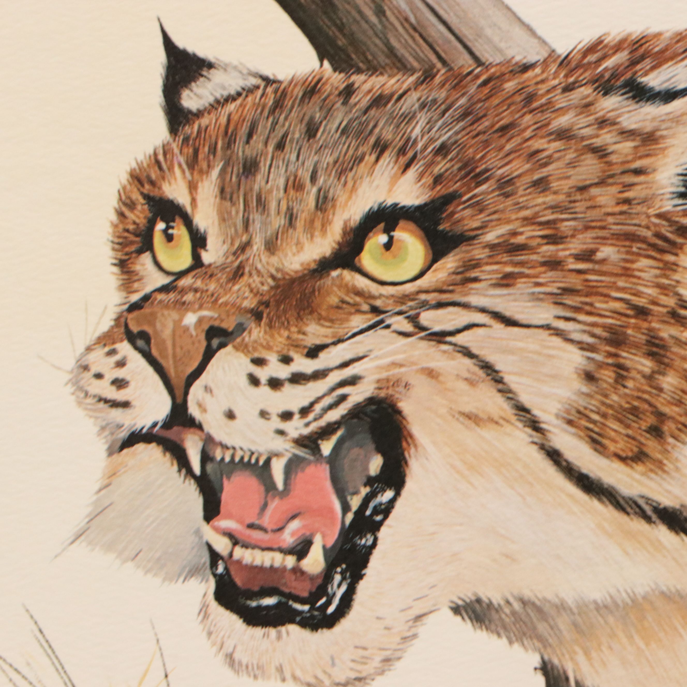 Gene Gray Offset Lithograph "Wildcat"