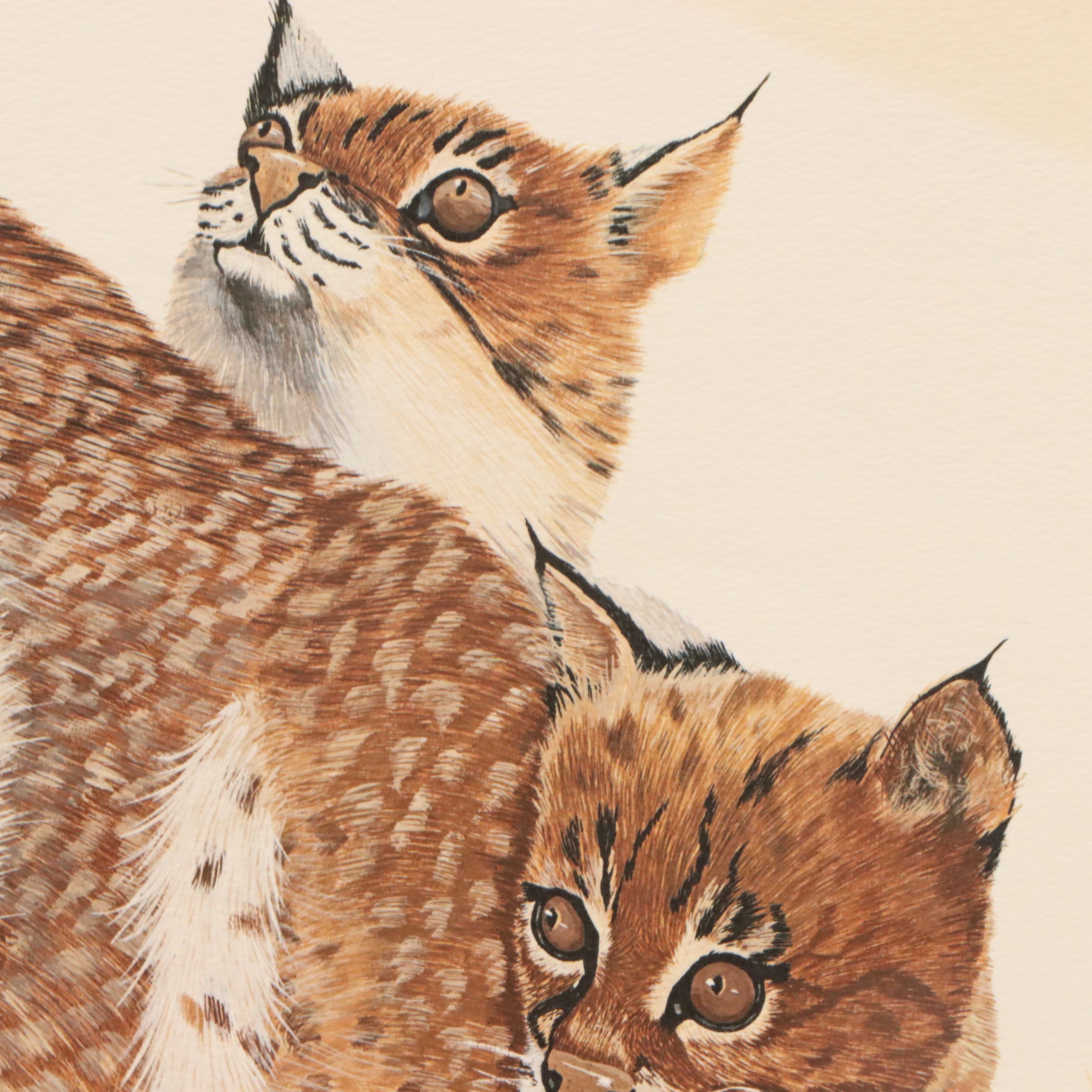 Gene Gray Offset Lithograph "Wildcat"