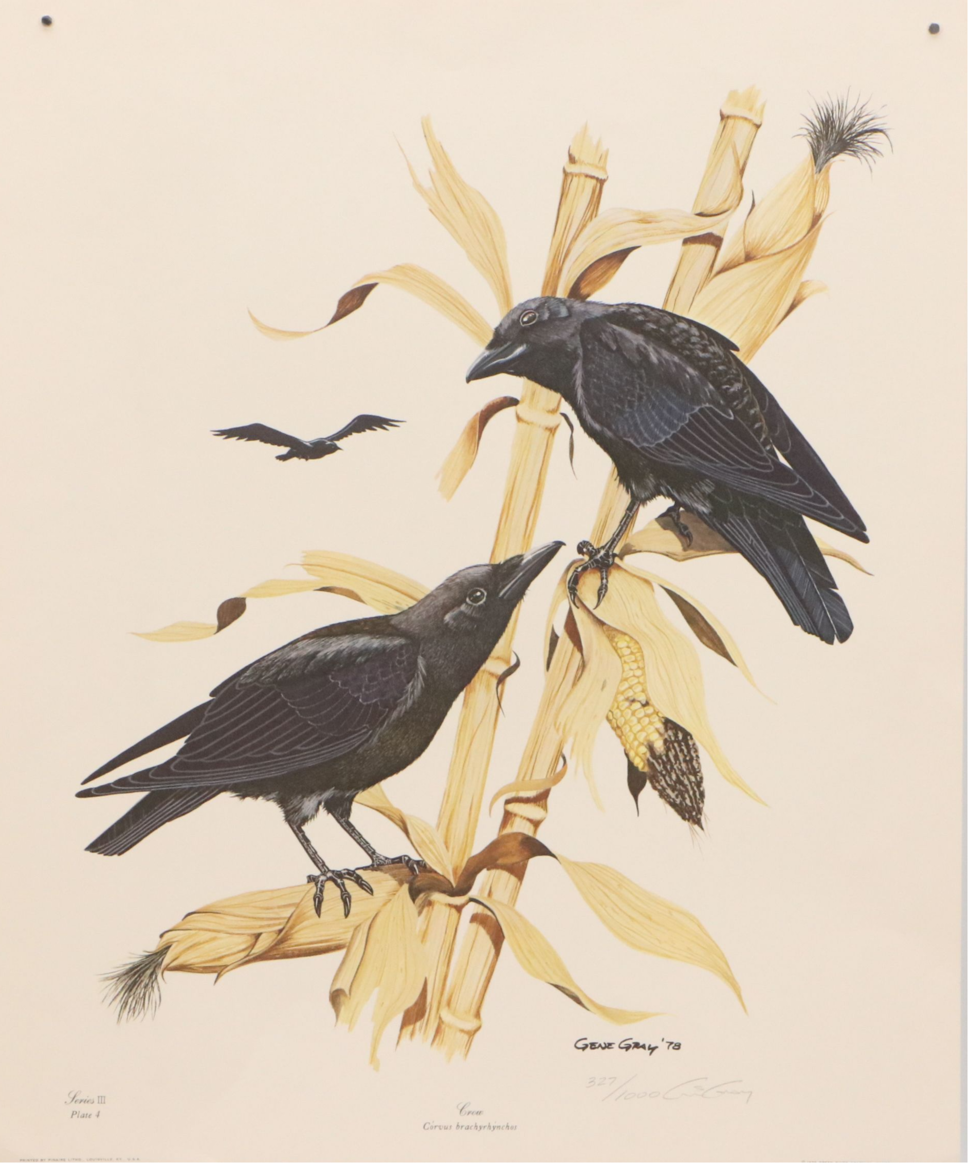 Gene Gray Green River Offset Lithograph "Crow"