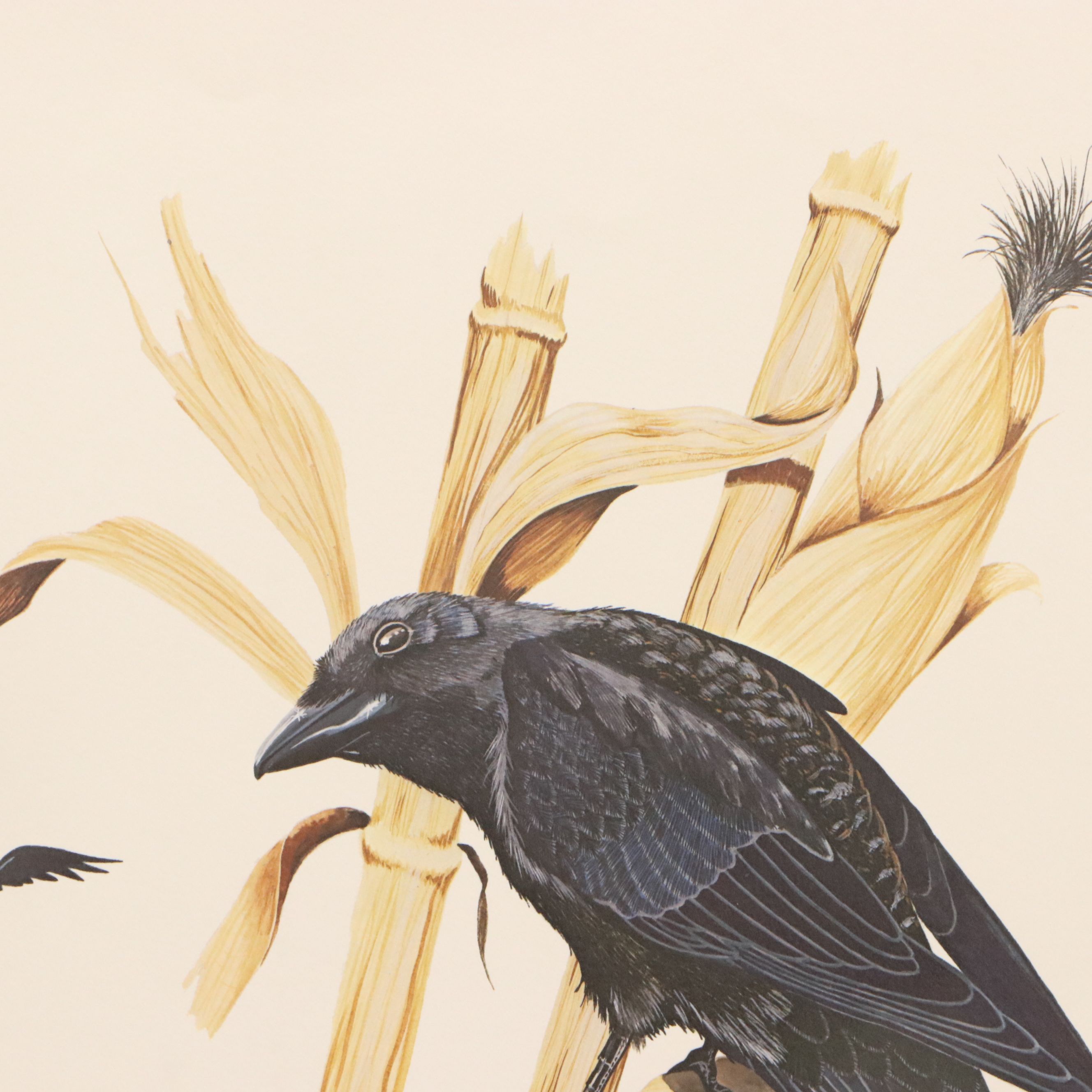 Gene Gray Green River Offset Lithograph "Crow"