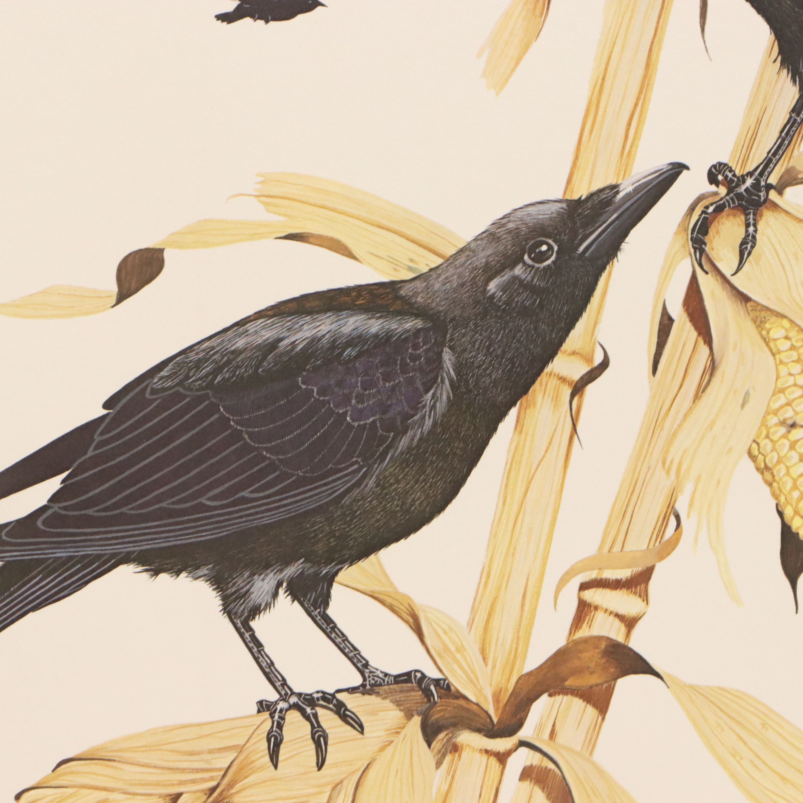 Gene Gray Green River Offset Lithograph "Crow"