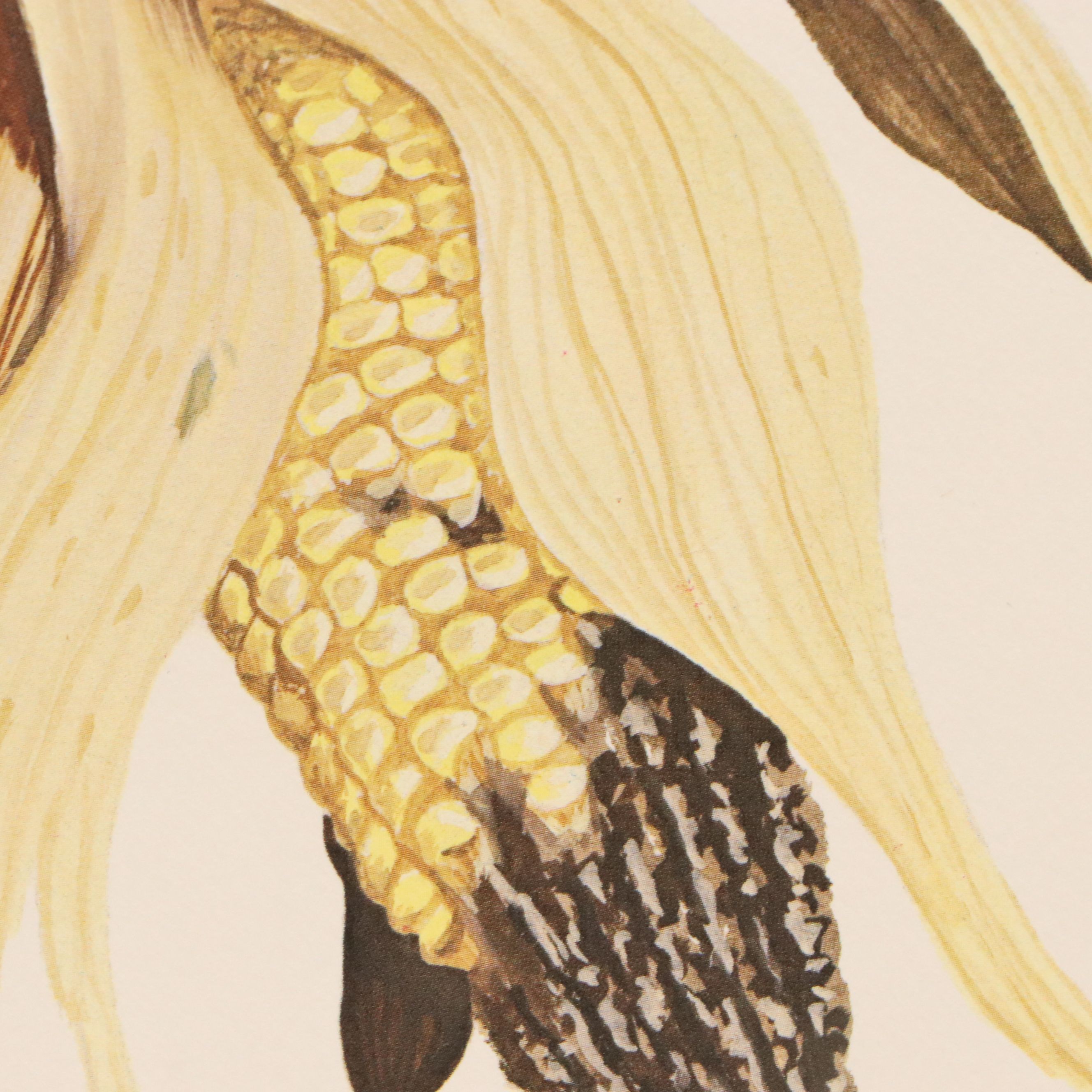 Gene Gray Green River Offset Lithograph "Crow"