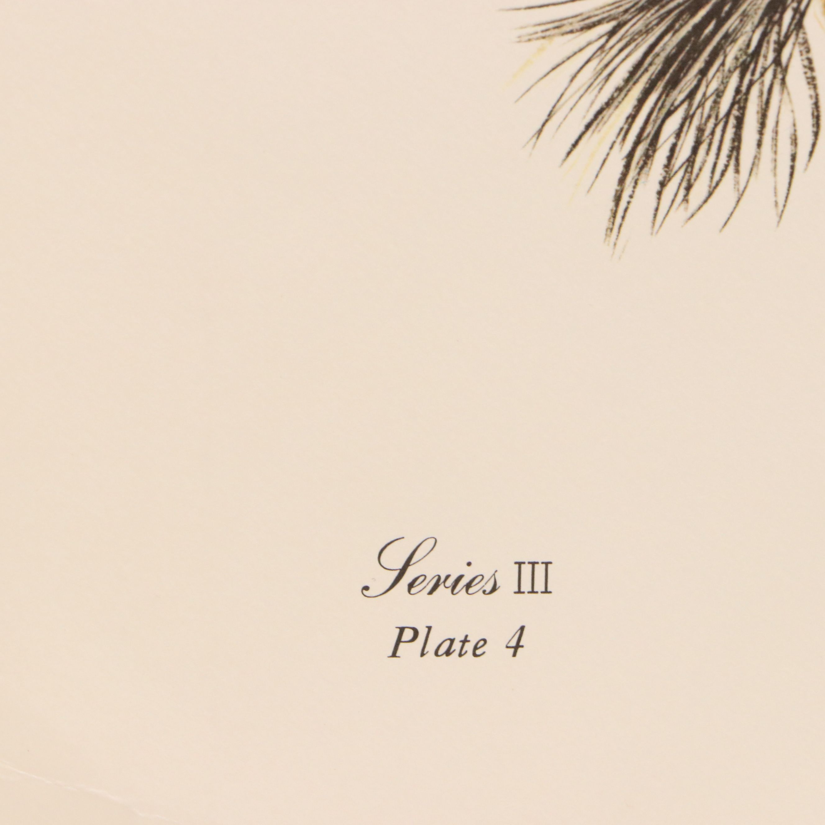 Gene Gray Green River Offset Lithograph "Crow"