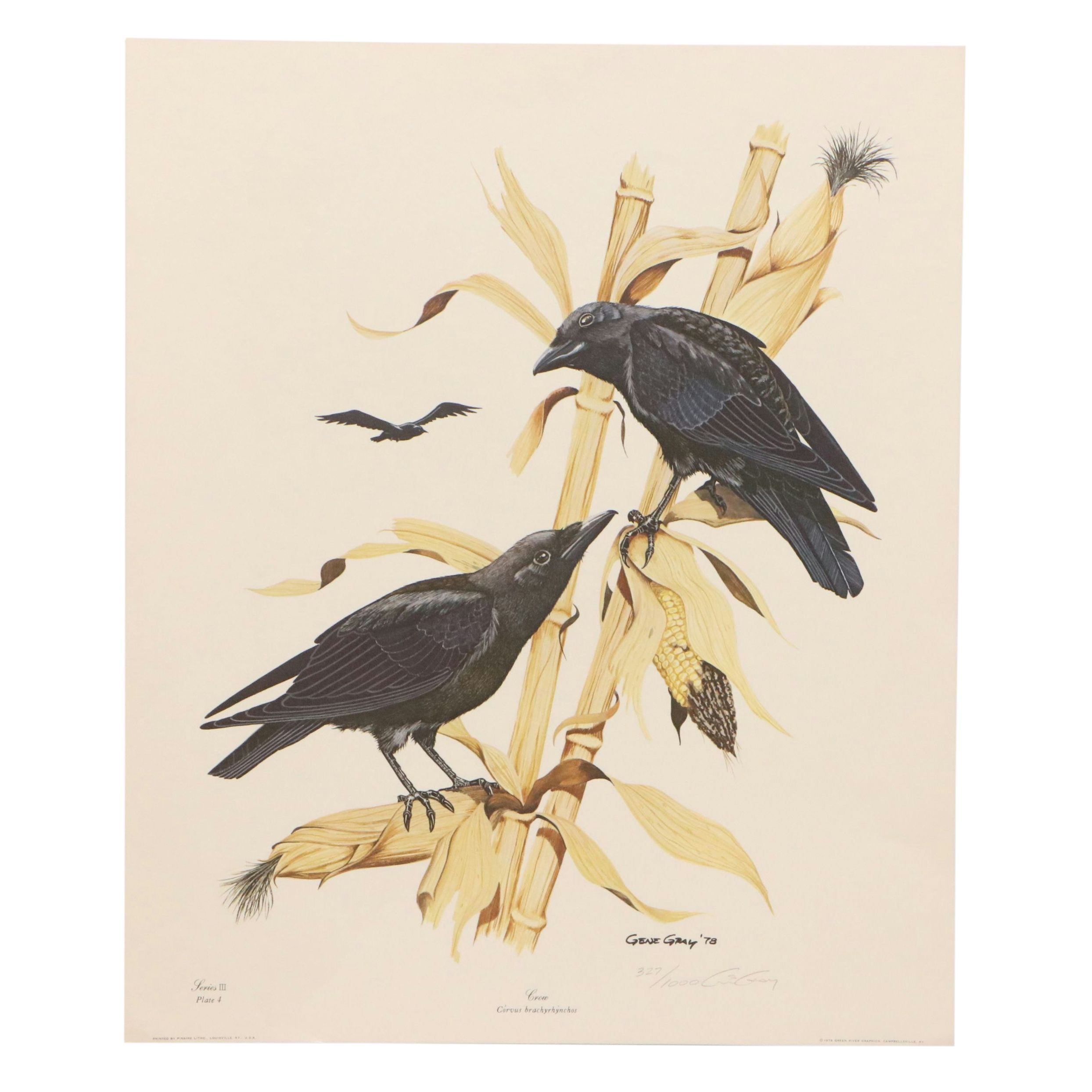 Gene Gray Green River Offset Lithograph "Crow"