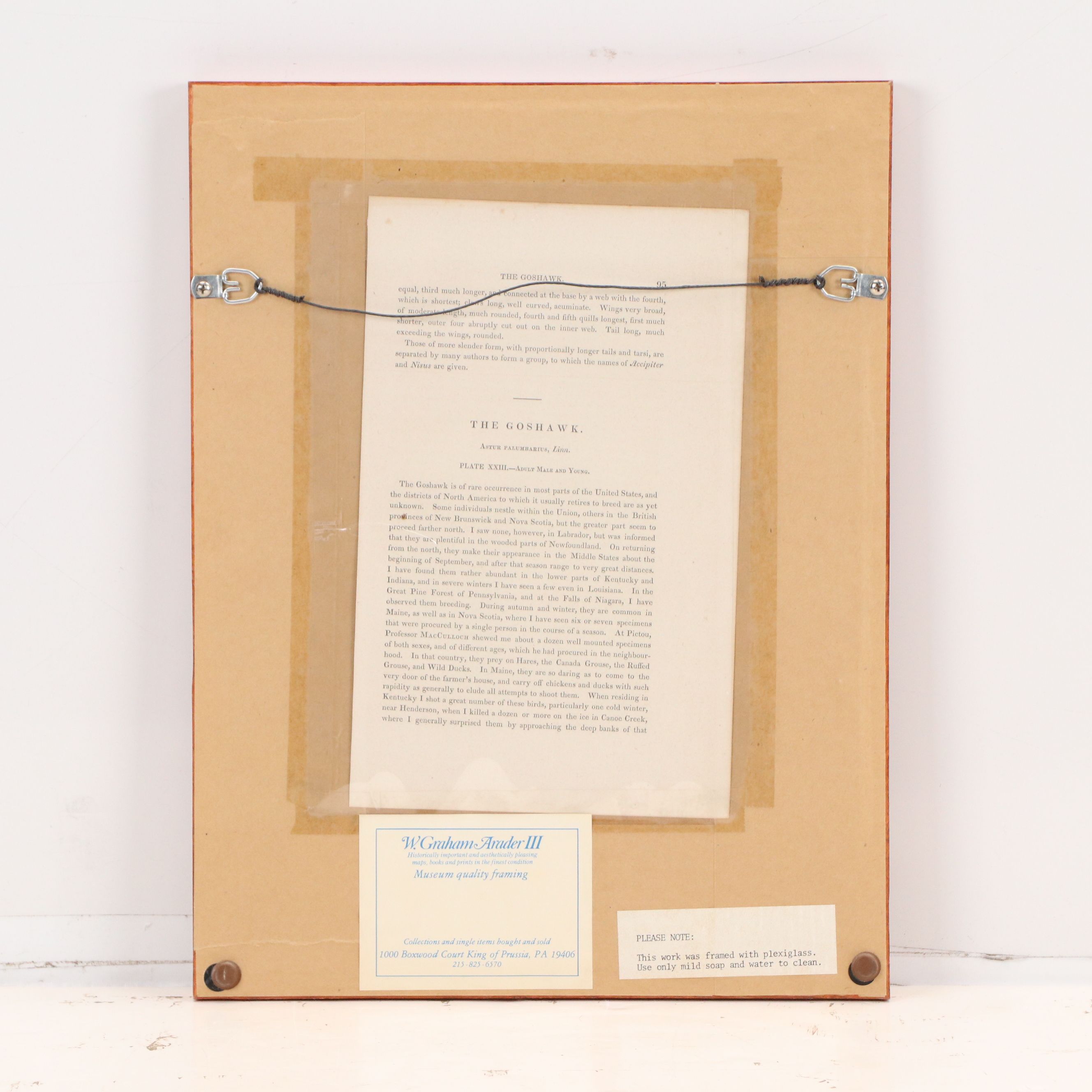 John James Audubon Hand-Colored Lithograph "Pl. 23 Gos Hawk" 1856