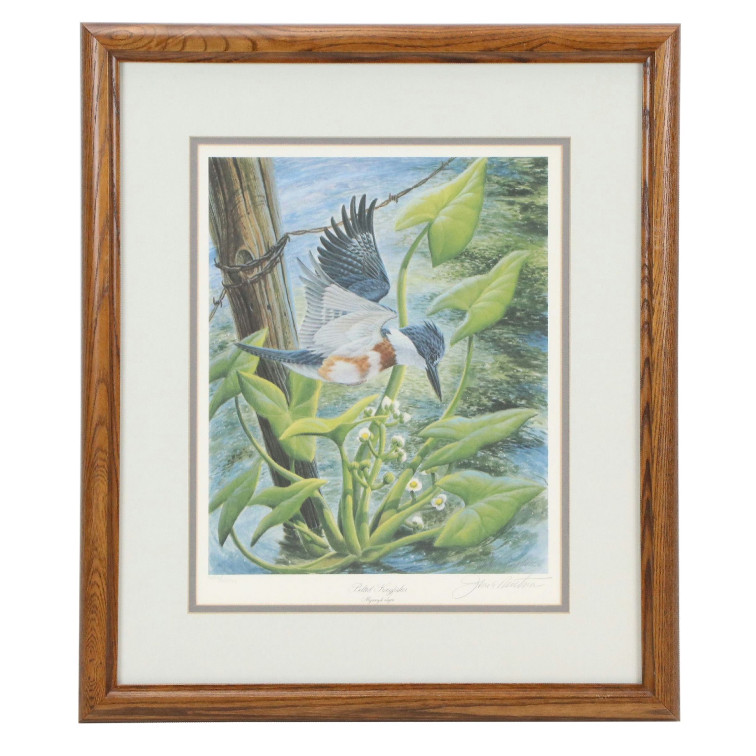 John A. Ruthven Offset Lithograph "Belted Kingfisher," 1988