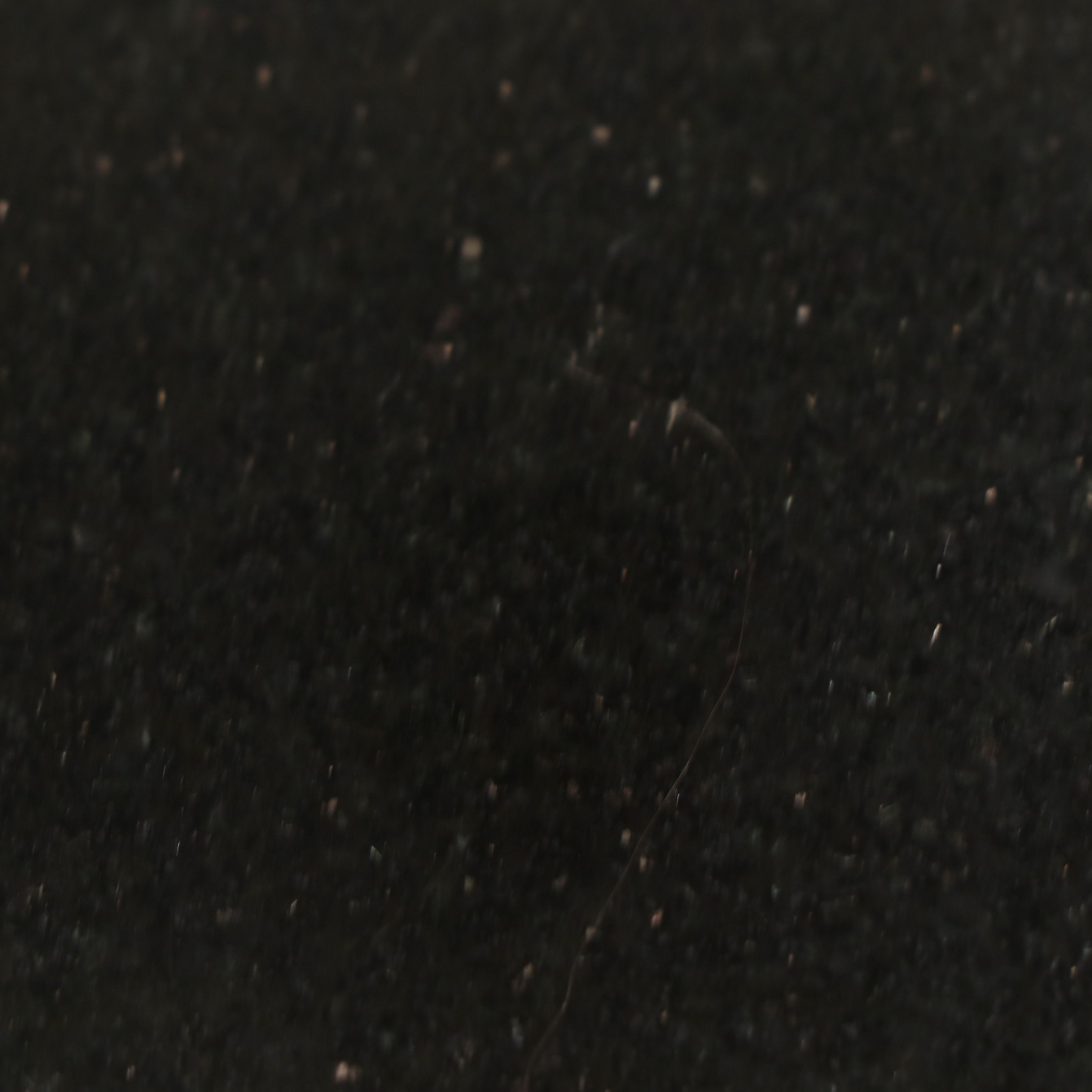 French Inspired Paint-Decorated Bombé Chest with Stone Top